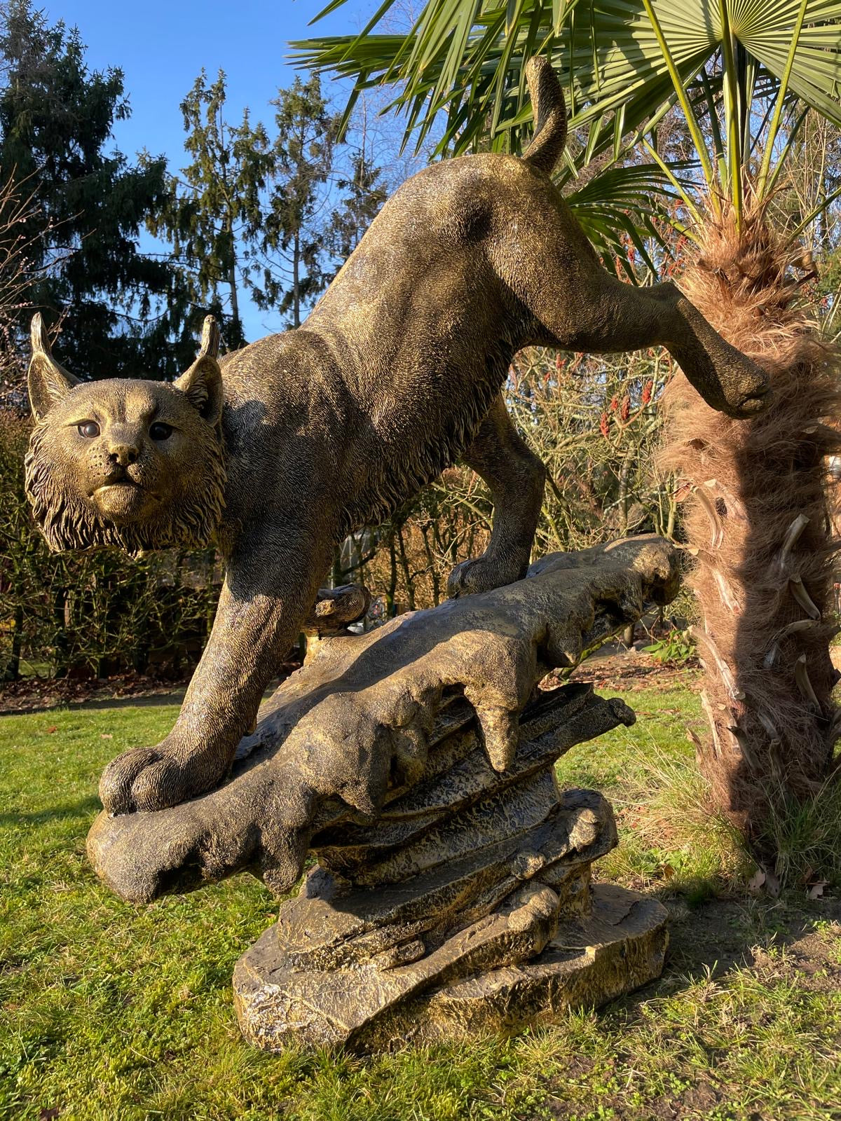 Beeld Lynx, tuin, zwembad, vijver 130cm
