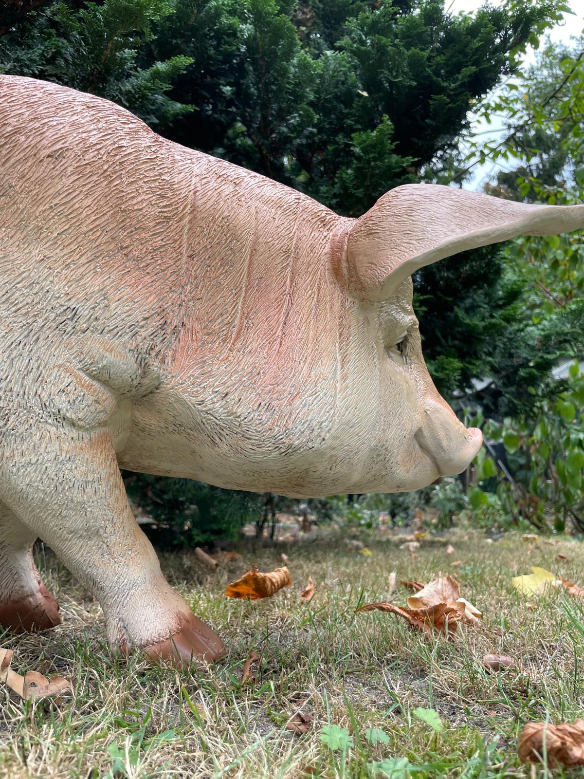 (Tuin)Beeld varken, tuin, gazon, manege, boerderij 85cm