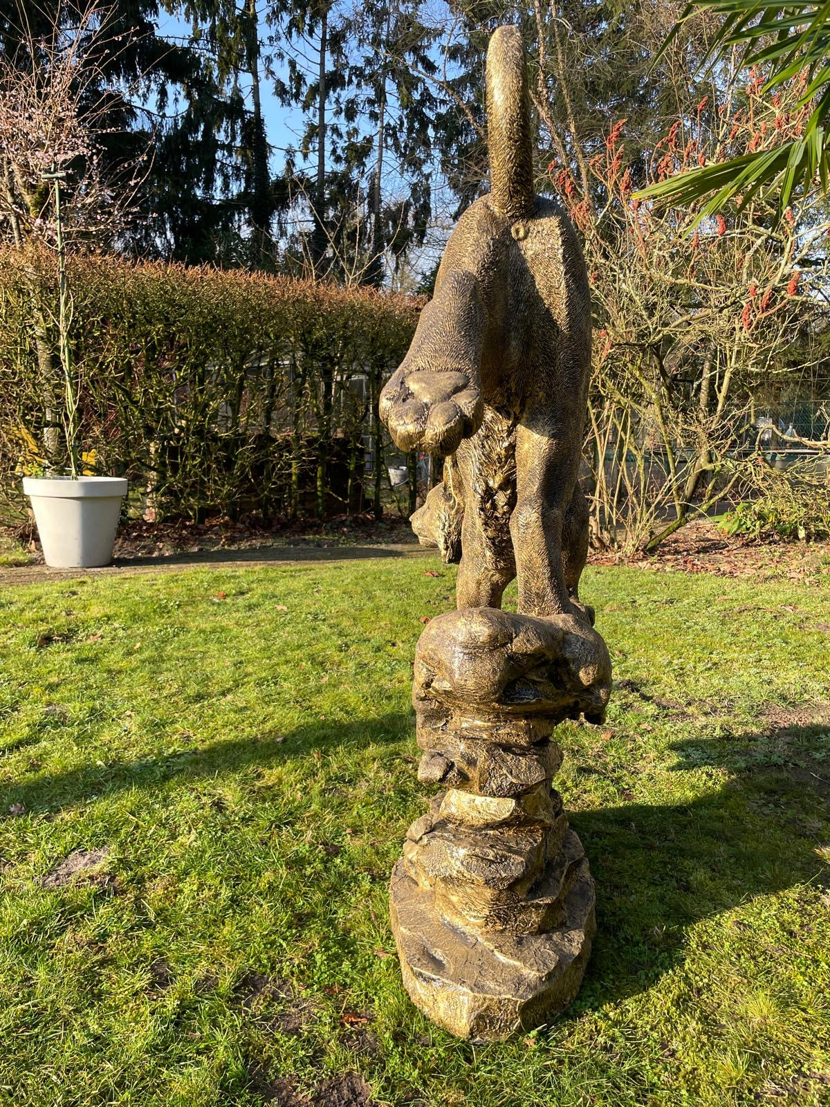Beeld Lynx, tuin, zwembad, vijver 130cm