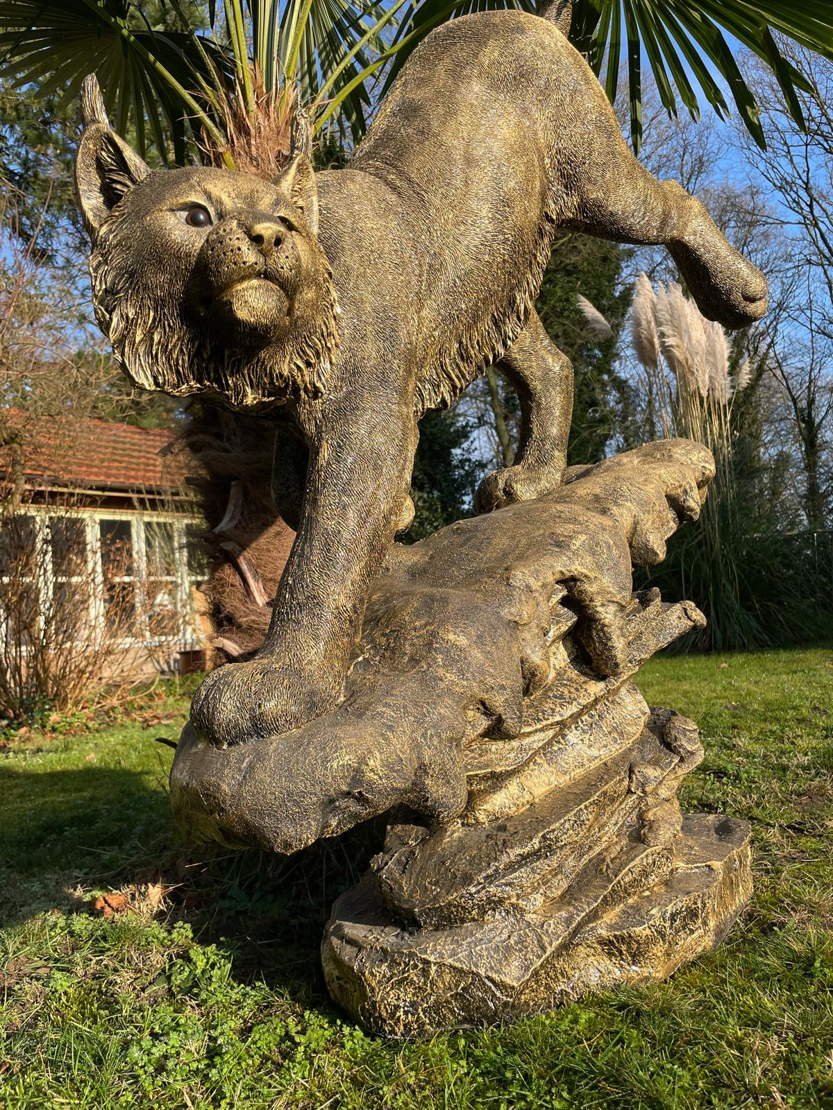 Beeld Lynx, tuin, zwembad, vijver 130cm