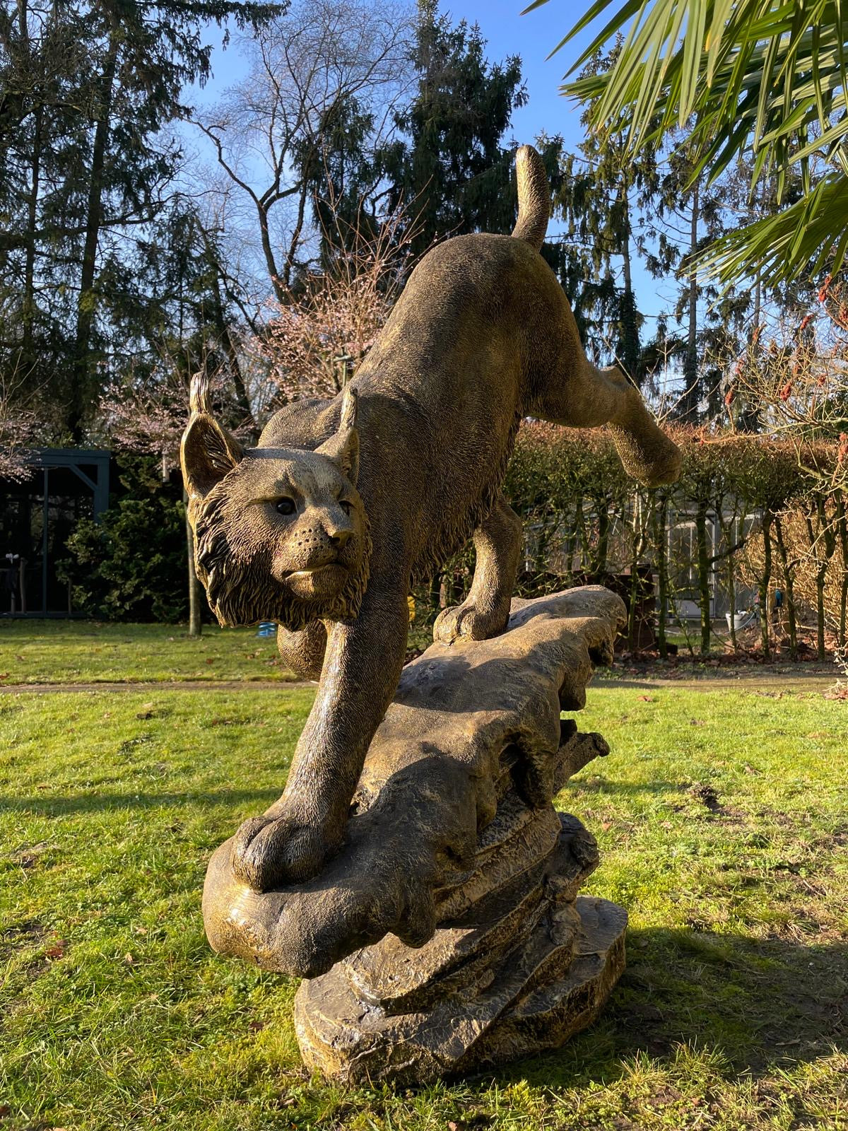 Beeld Lynx, tuin, zwembad, vijver 130cm