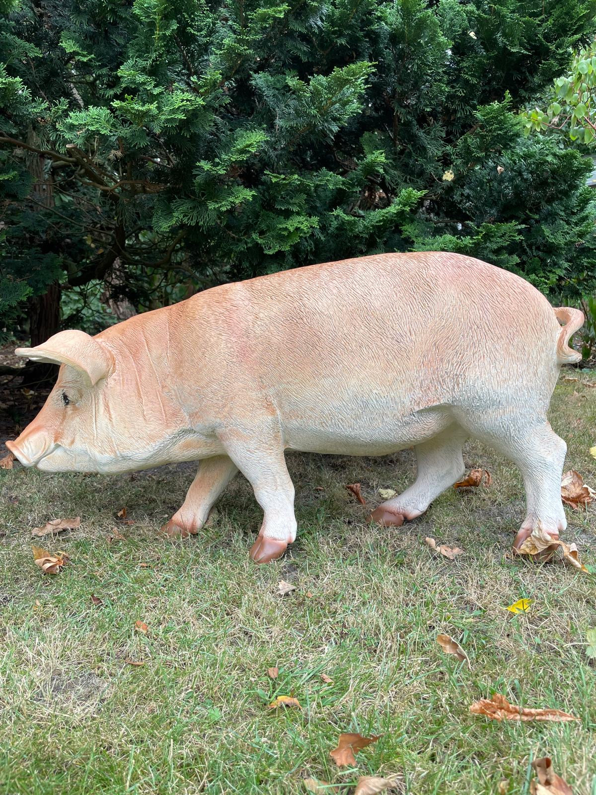 (Tuin)Beeld varken, tuin, gazon, manege, boerderij 85cm