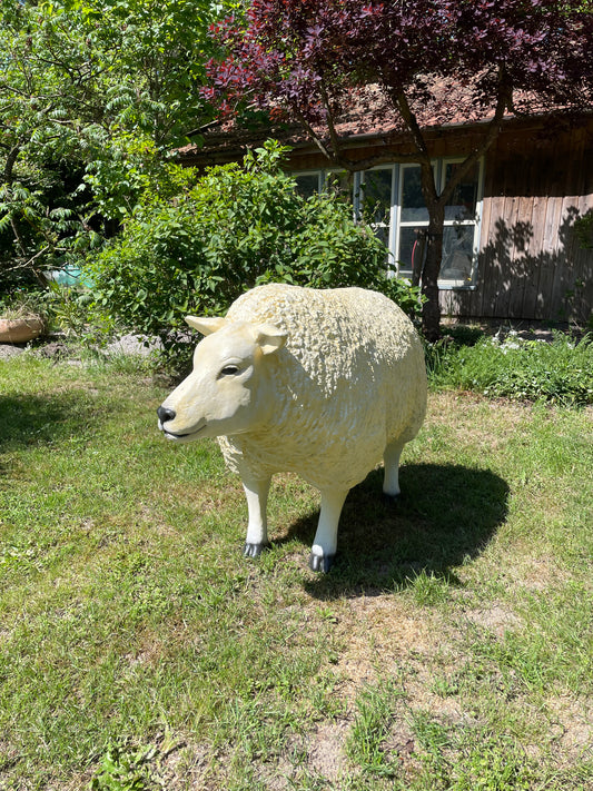 (tuin)beeld Texel schaap, vooruit kijkend, tuin, boerderij 100cm