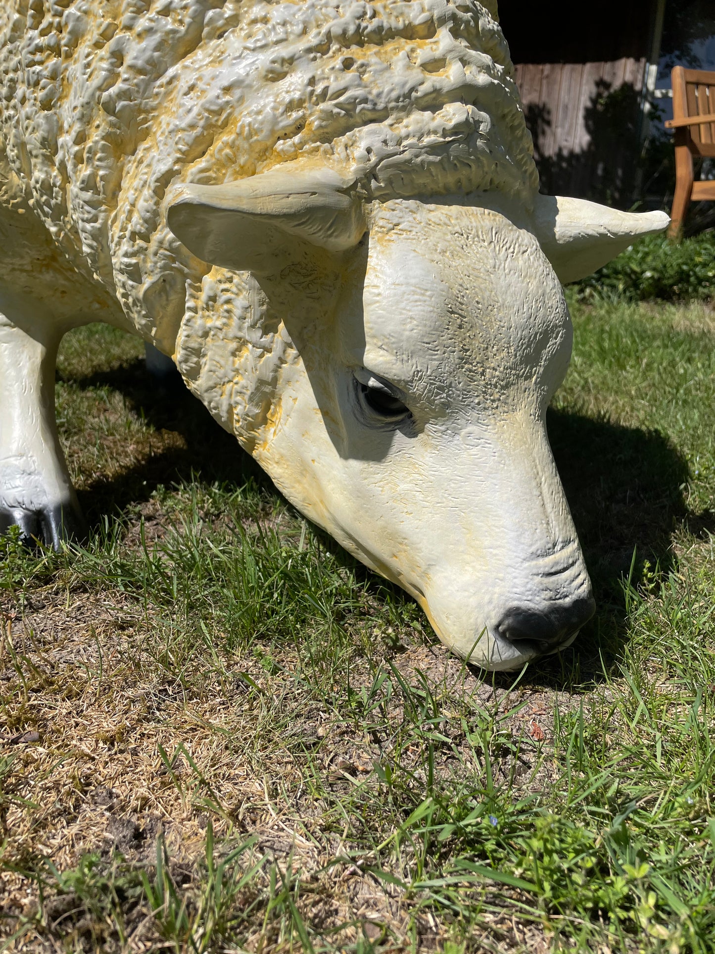 3 x Texel schaap, gazon, tuin, boerderij 100cm