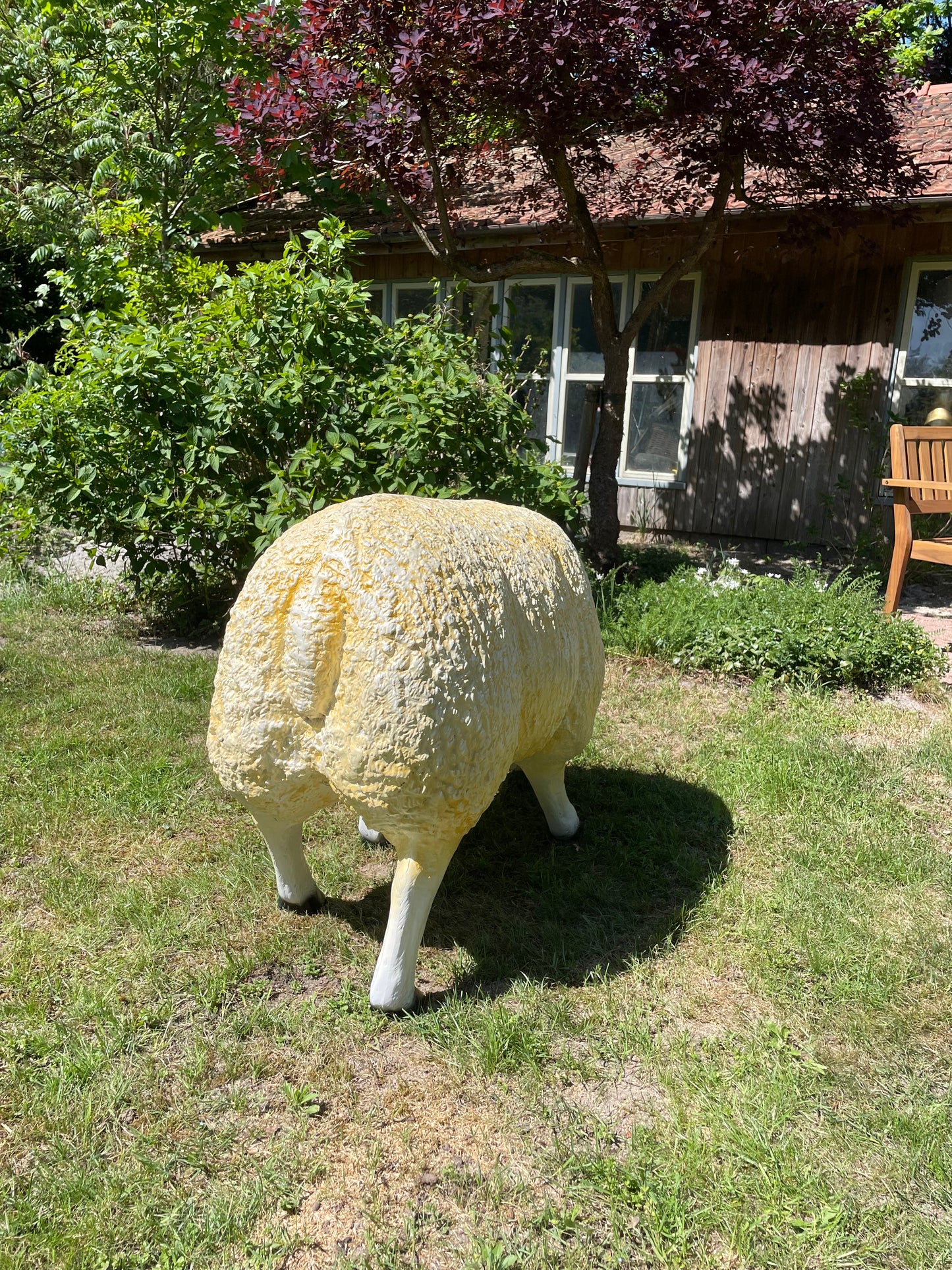 3 x Texel schaap, gazon, tuin, boerderij 100cm