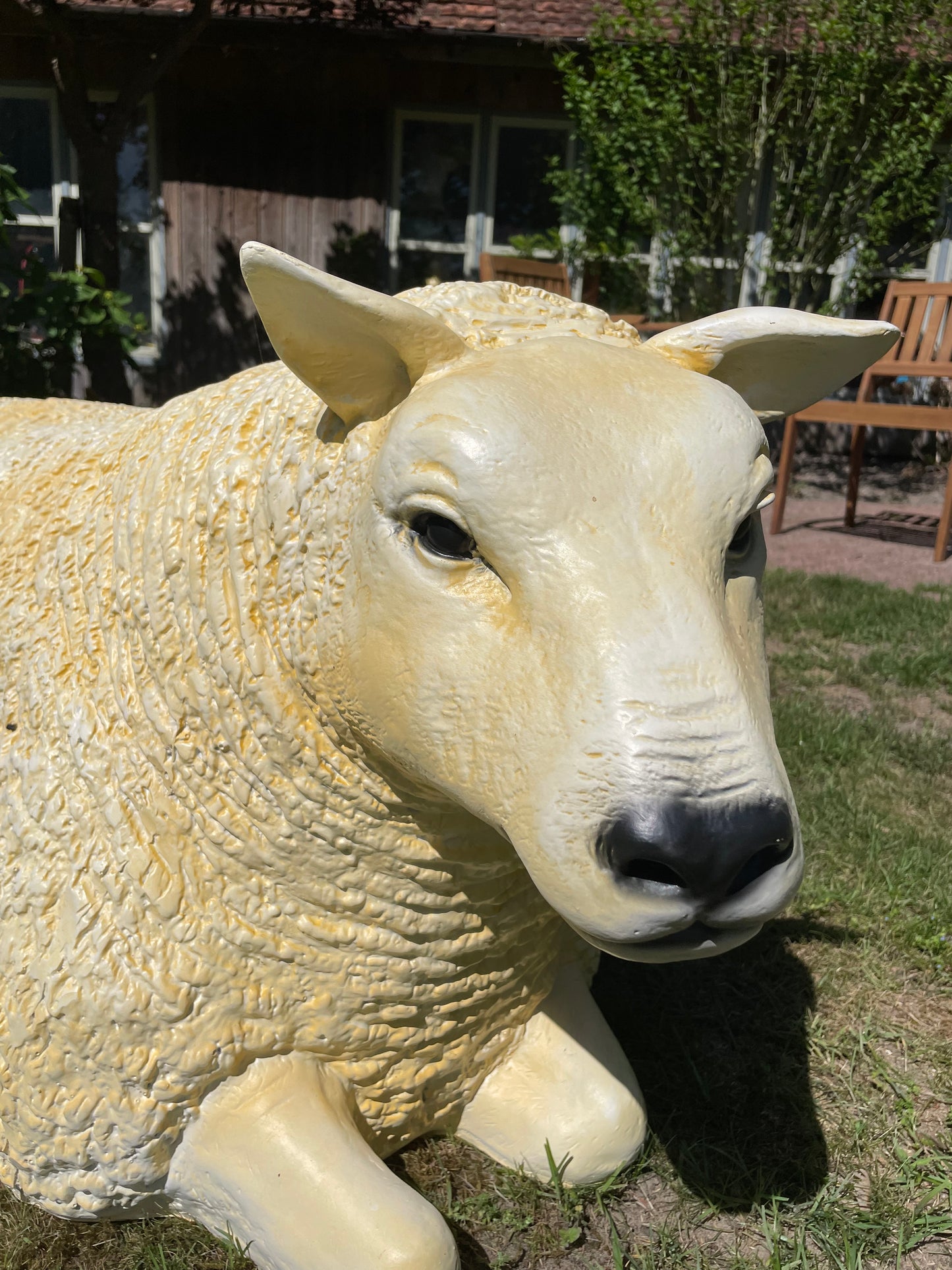 3 x Texel schaap, gazon, tuin, boerderij 100cm