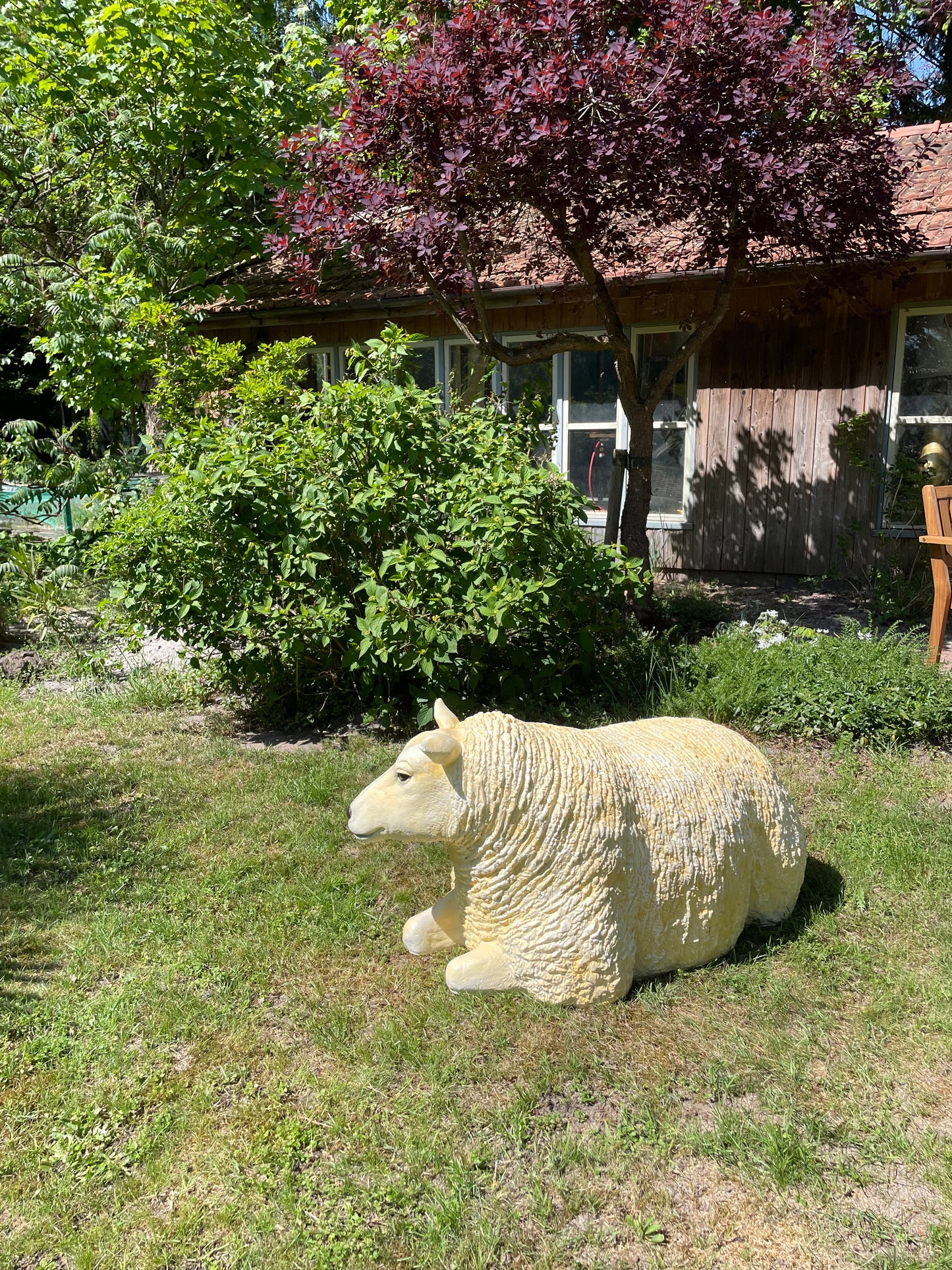 3 x Texel schaap, gazon, tuin, boerderij 100cm