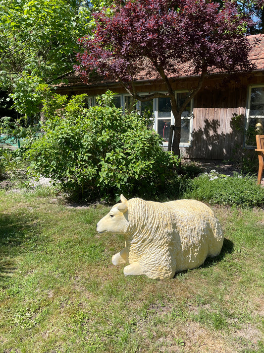 (tuin)beeld Texel schaap, liggend, tuin, boerderij 100cm