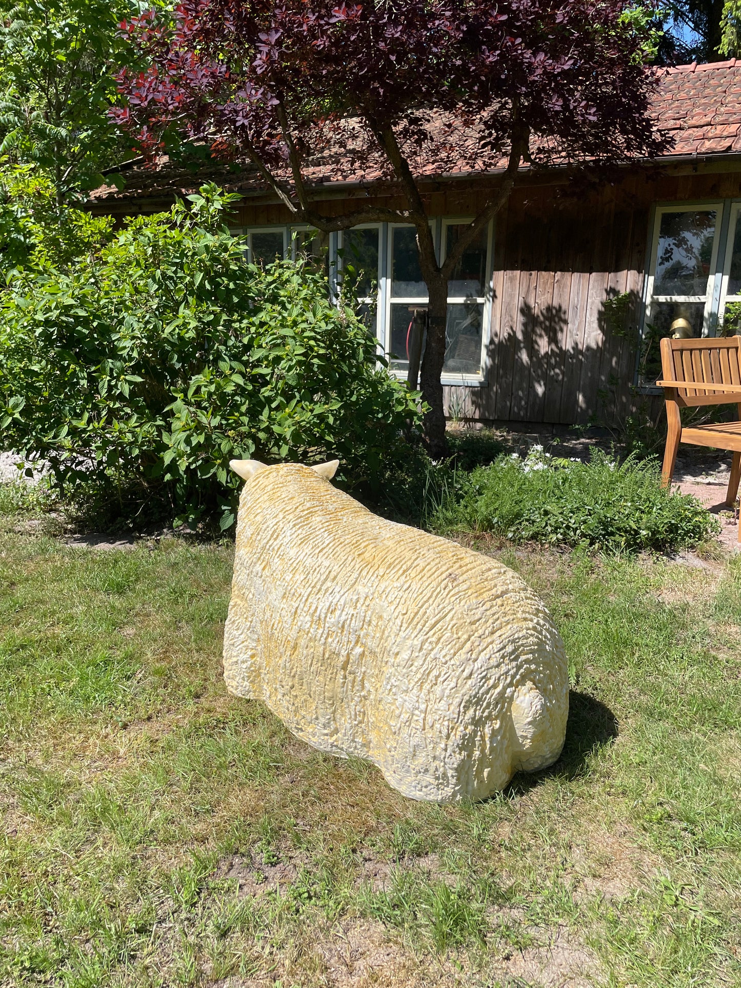 3 x Texel schaap, gazon, tuin, boerderij 100cm