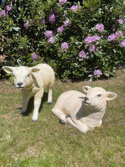 (Tuin)Beeld set Texel schaap lammetje, tuin, boerderij