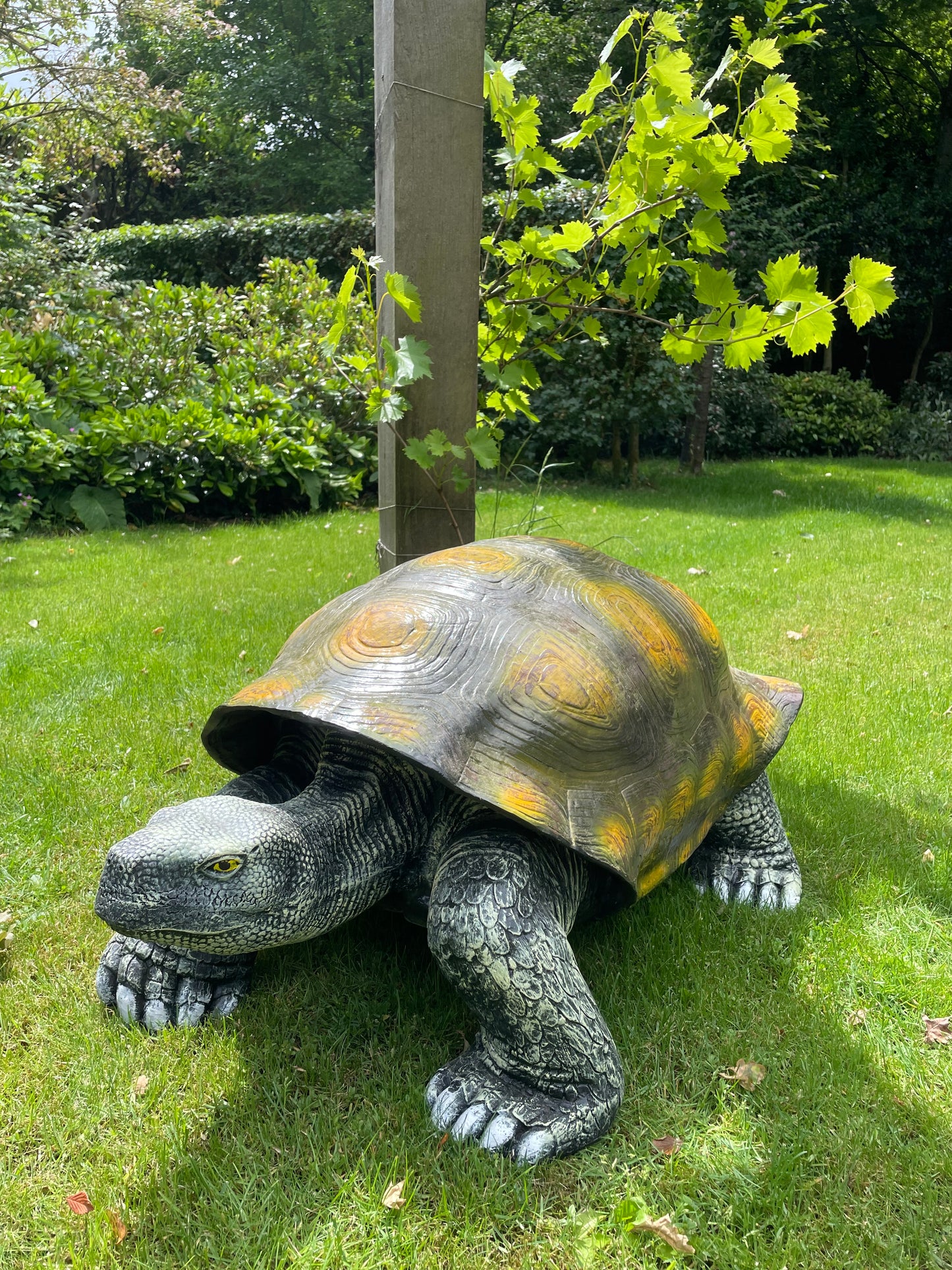 (Tuin)Beeld schildpad, gazon, tuin, vijver, 100 cm