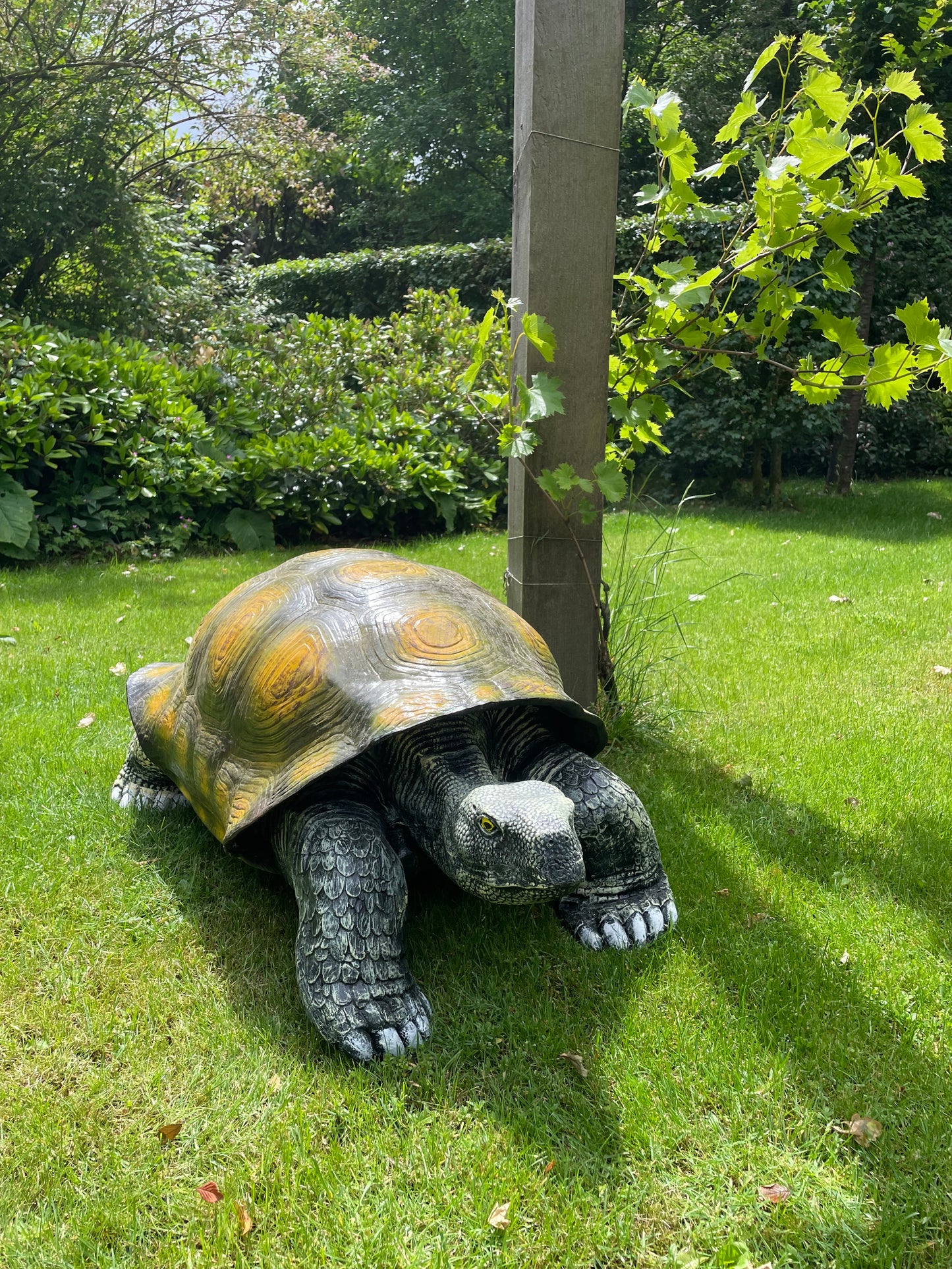 (Tuin)Beeld schildpad, gazon, tuin, vijver, 100 cm