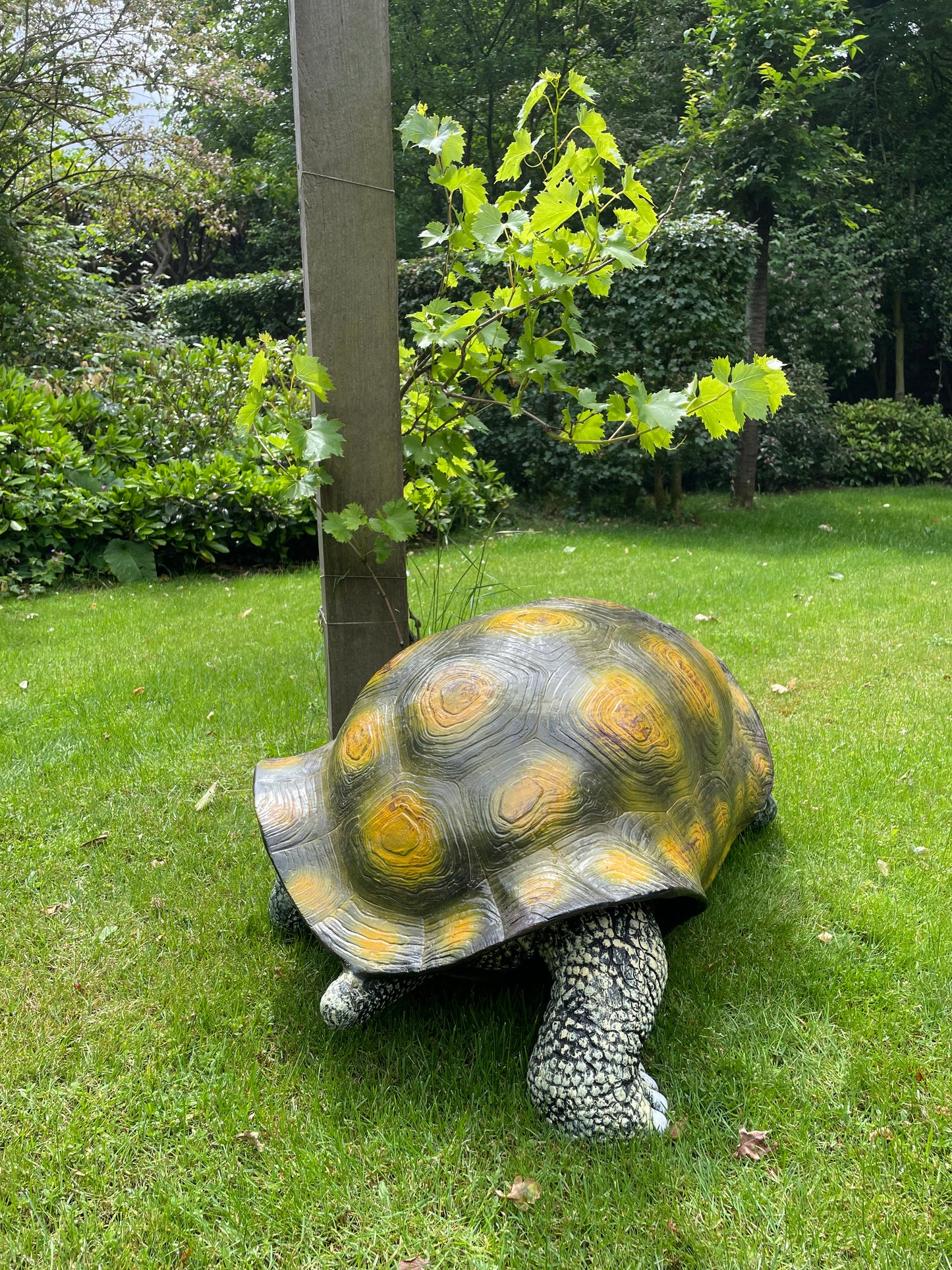 (Tuin)Beeld schildpad, gazon, tuin, vijver, 100 cm