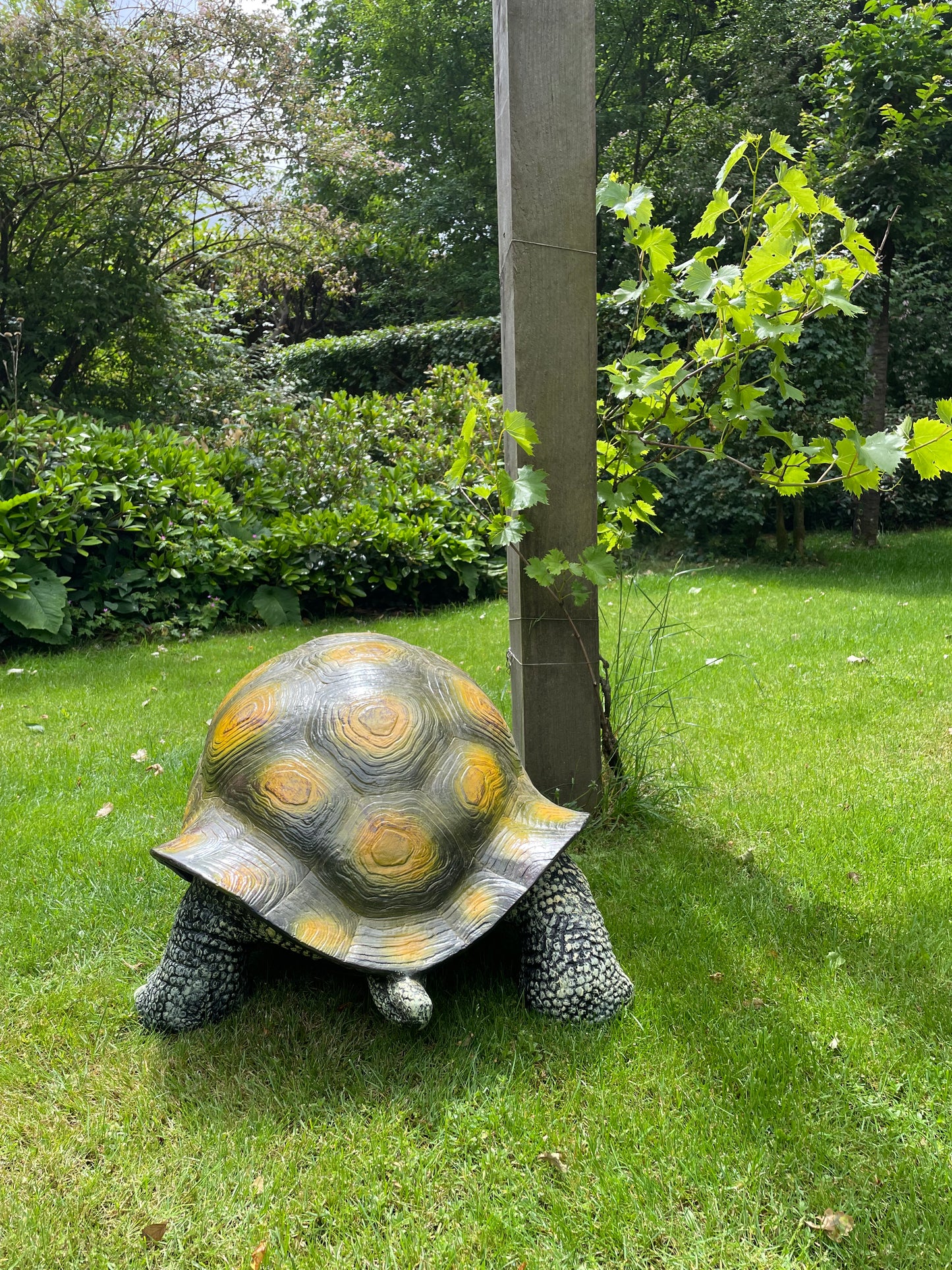 (Tuin)Beeld schildpad, gazon, tuin, vijver, 100 cm