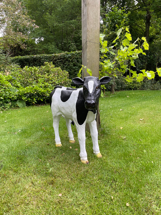 Kalf, koe, boerderij, gazon, tuin, boerderij, 90 cm
