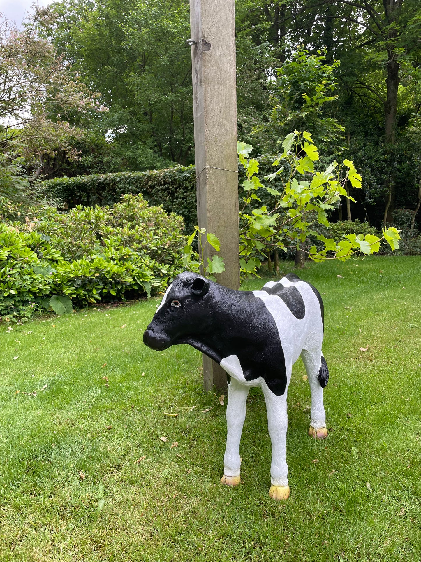Kalf, koe, boerderij, gazon, tuin, boerderij, 90 cm
