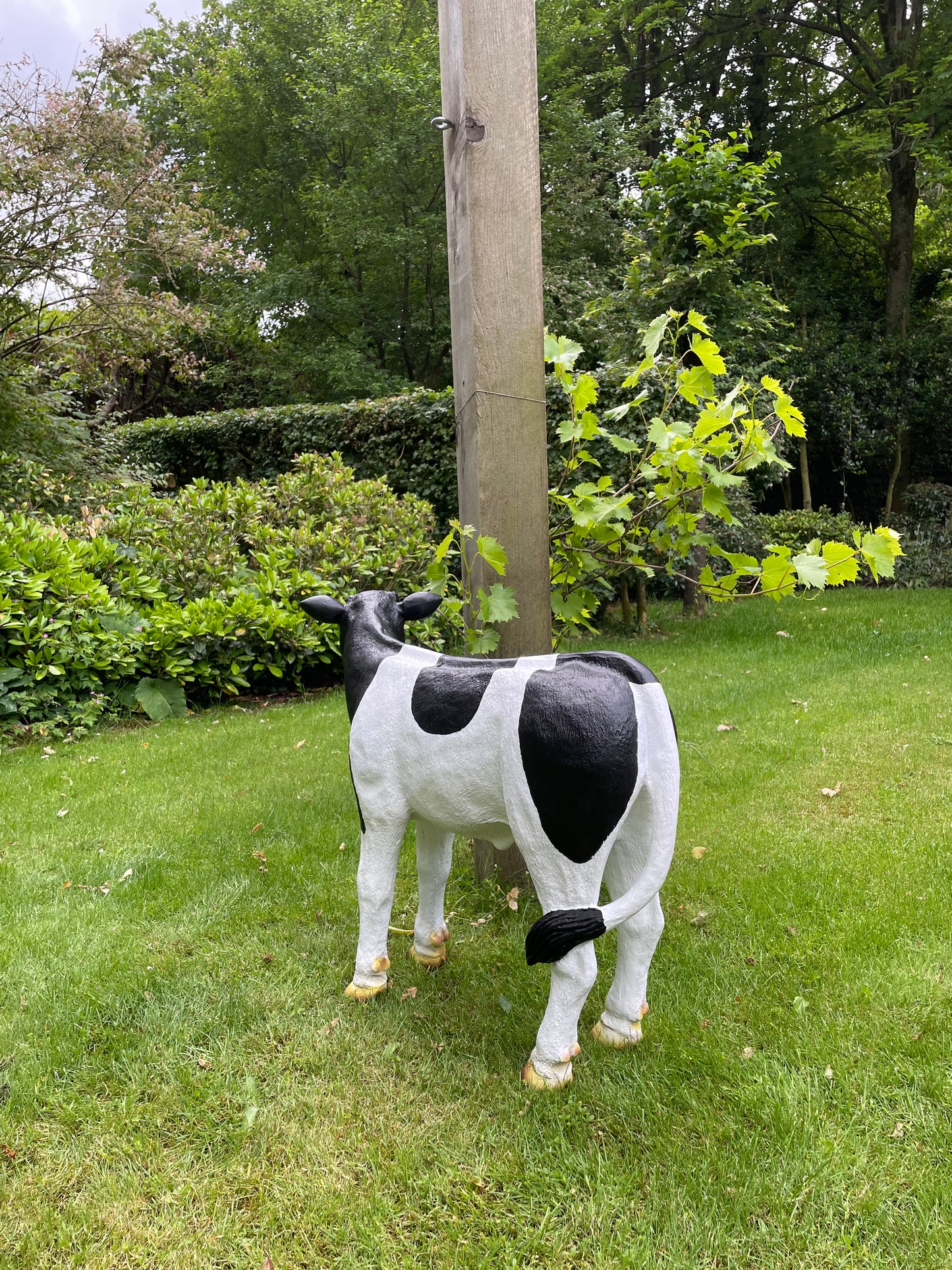 Kalf, koe, boerderij, gazon, tuin, boerderij, 90 cm