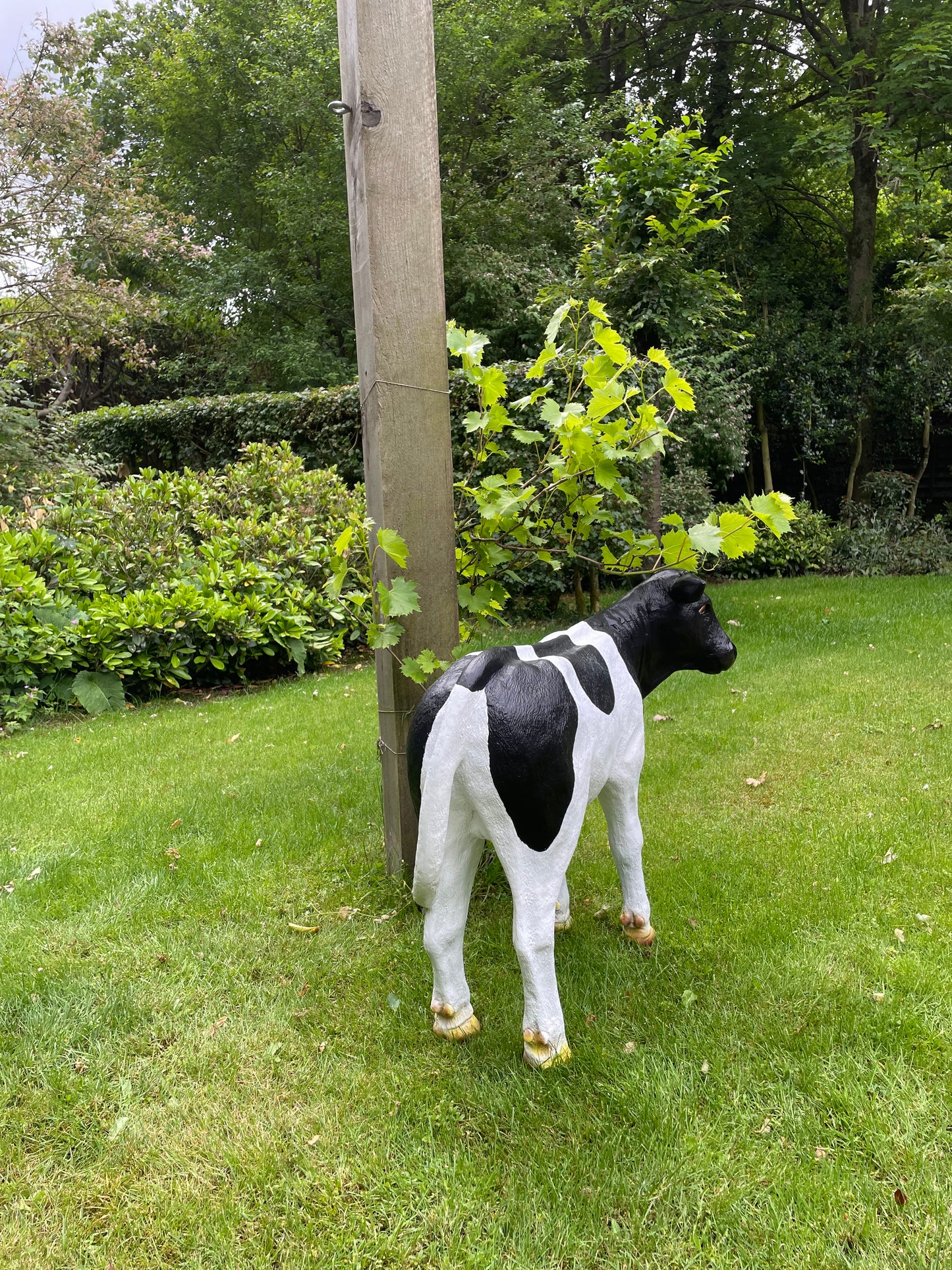 Kalf, koe, boerderij, gazon, tuin, boerderij, 90 cm