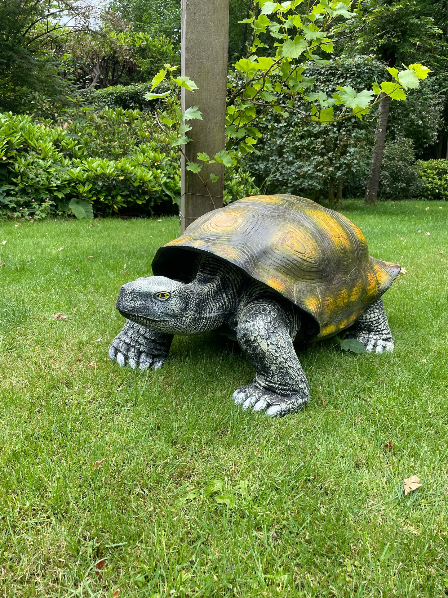 (Tuin)Beeld schildpad, gazon, tuin, vijver, 100 cm