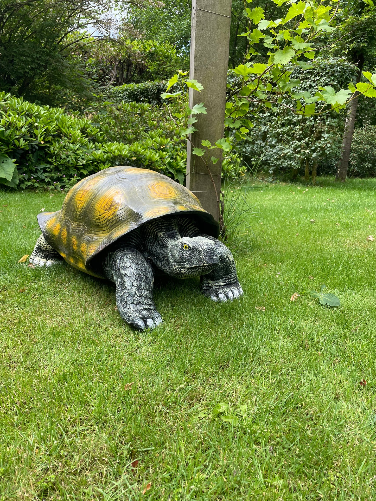 (Tuin)Beeld schildpad, gazon, tuin, vijver, 100 cm