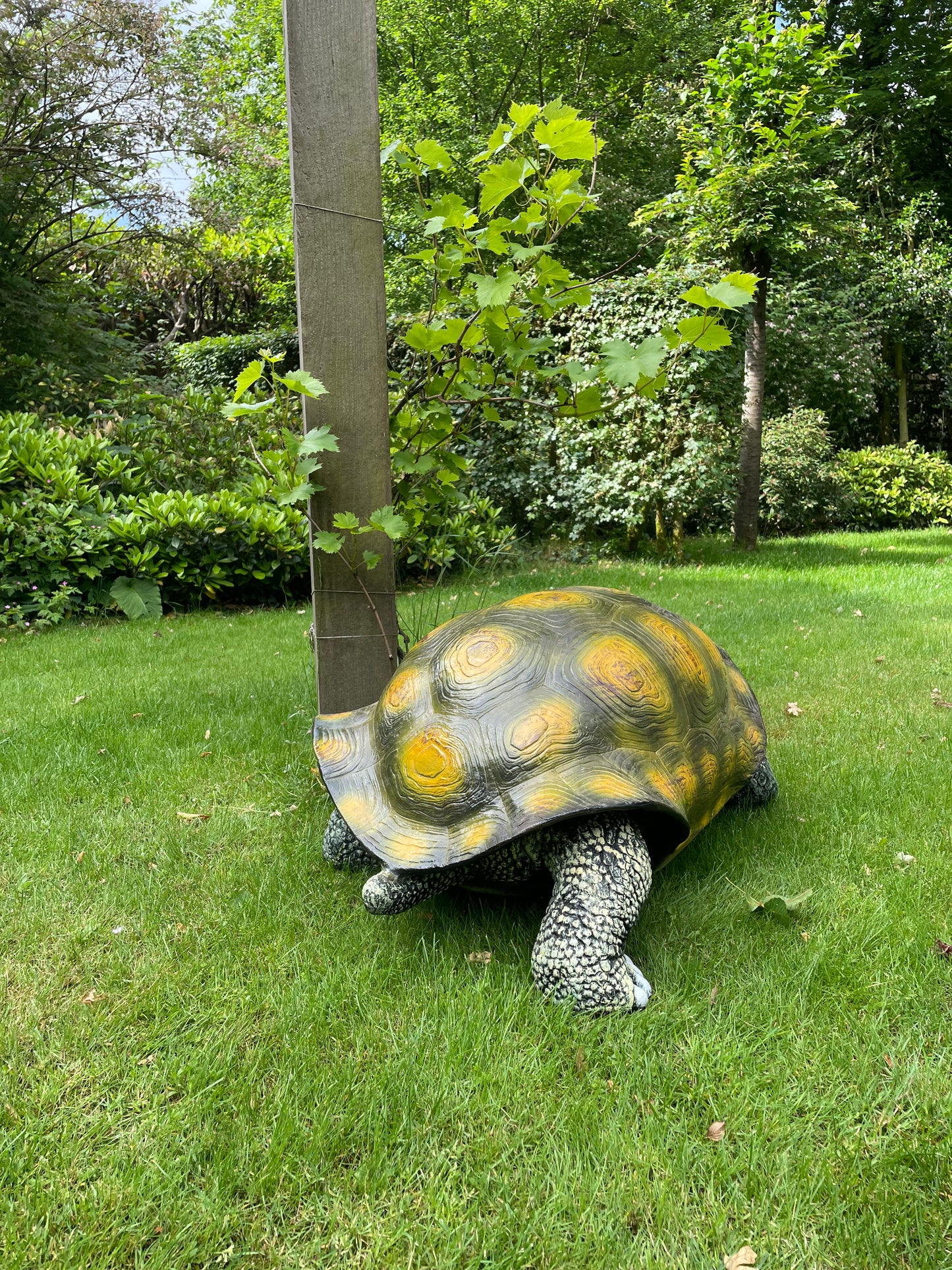 (Tuin)Beeld schildpad, gazon, tuin, vijver, 100 cm