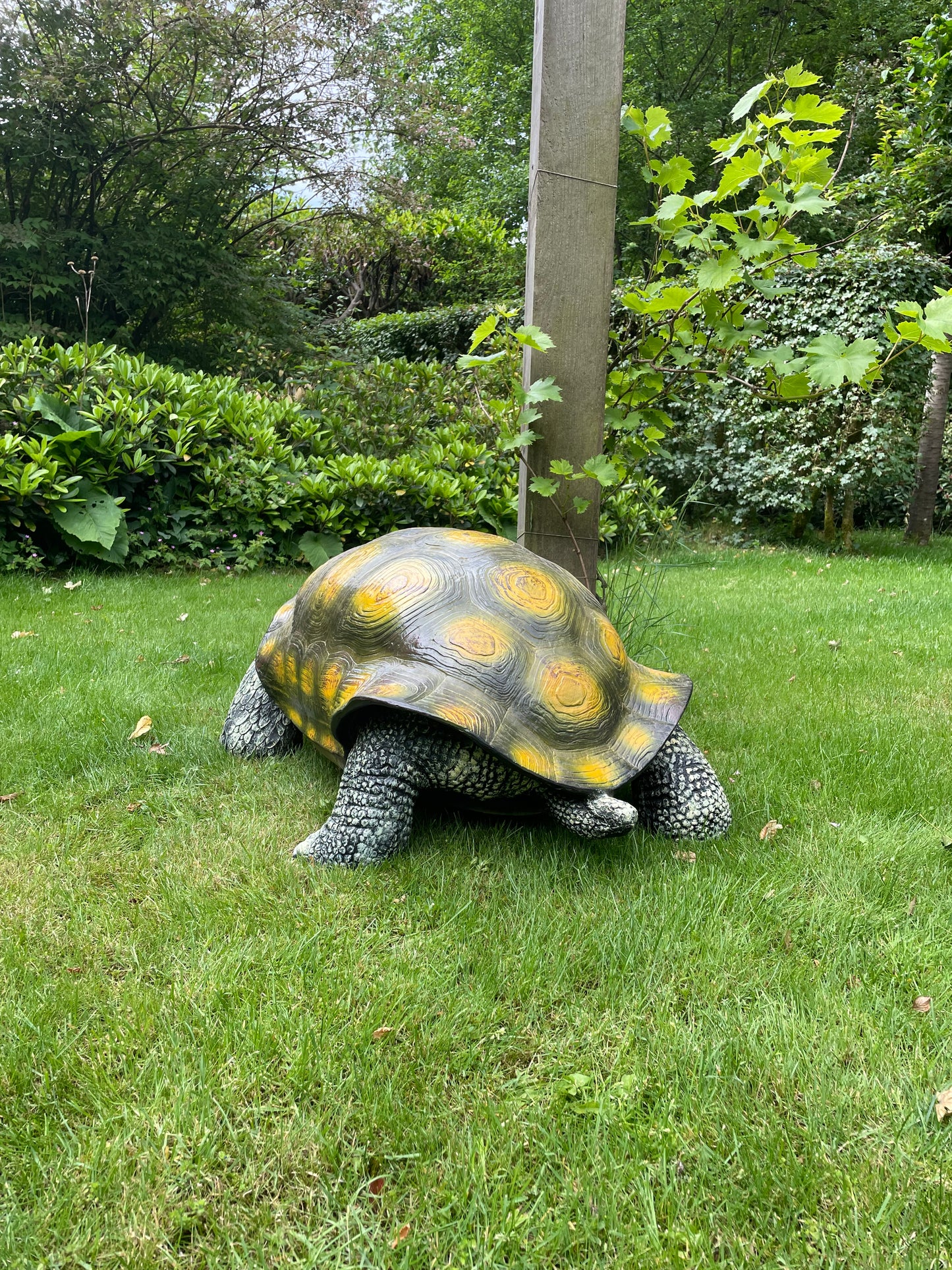 (Tuin)Beeld schildpad, gazon, tuin, vijver, 100 cm