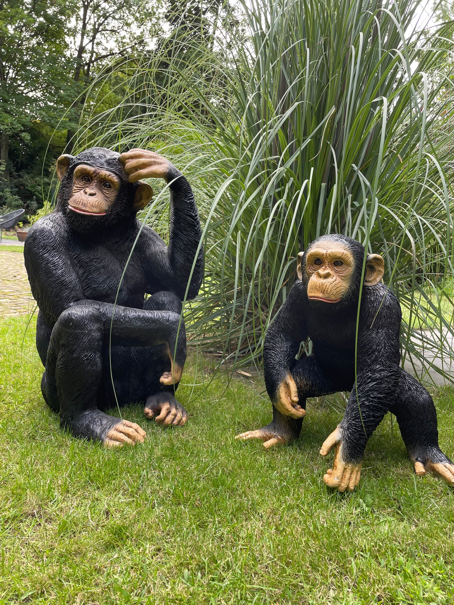 SET chimpansees, apen voelbaar en zichtbaar reliëf.