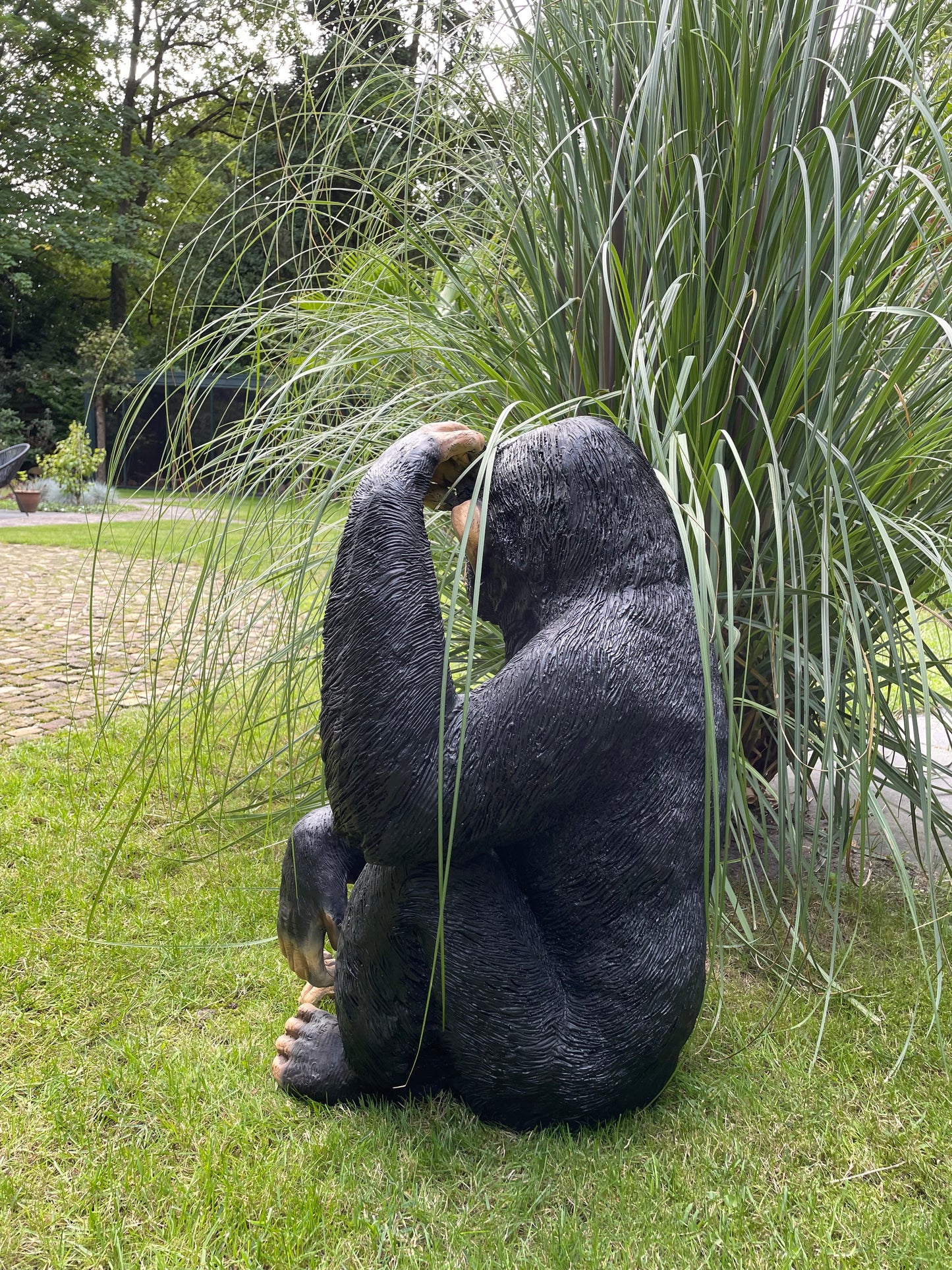 SET chimpansees, apen voelbaar en zichtbaar reliëf.