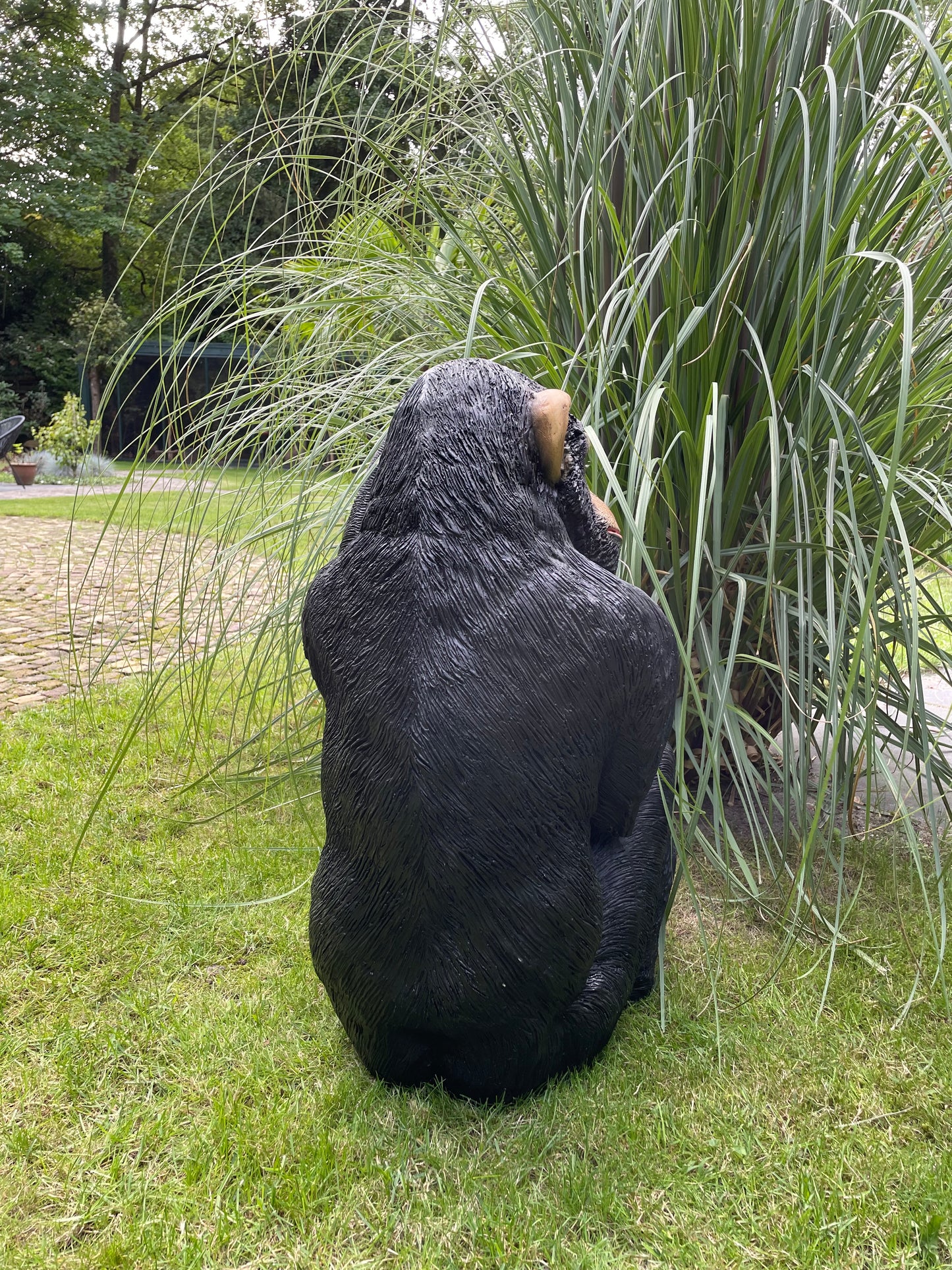 SET chimpansees, apen voelbaar en zichtbaar reliëf.