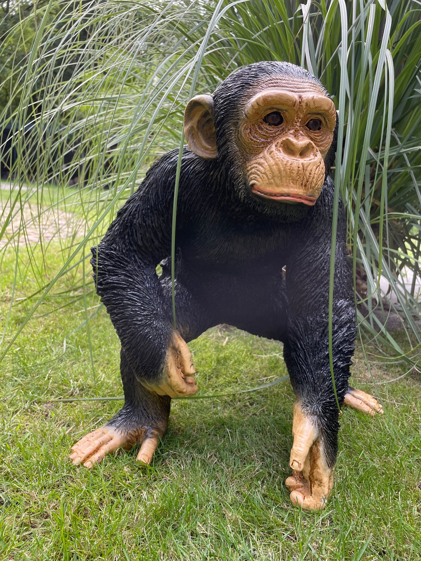 SET chimpansees, apen voelbaar en zichtbaar reliëf.