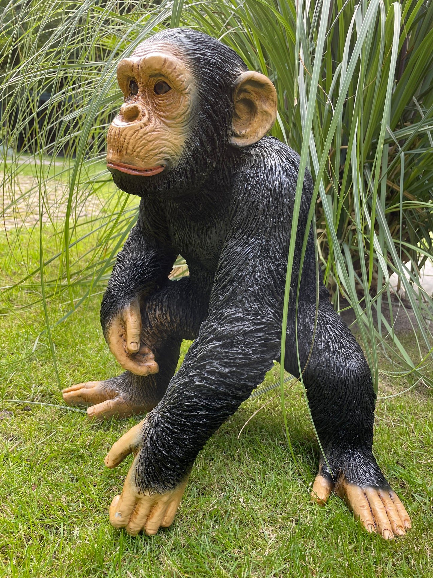 SET chimpansees, apen voelbaar en zichtbaar reliëf.