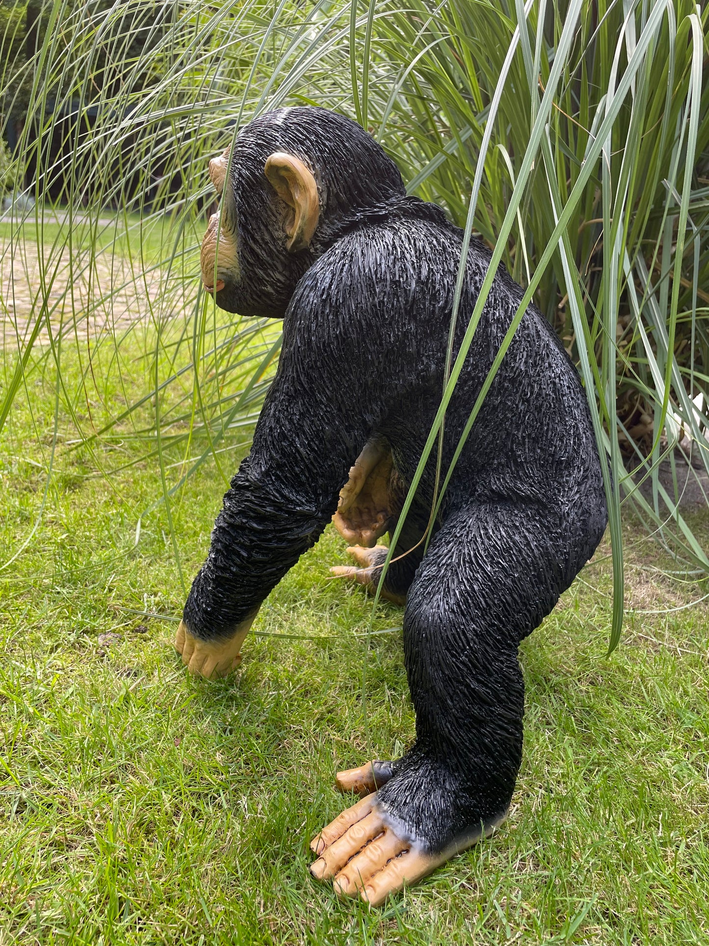SET chimpansees, apen voelbaar en zichtbaar reliëf.
