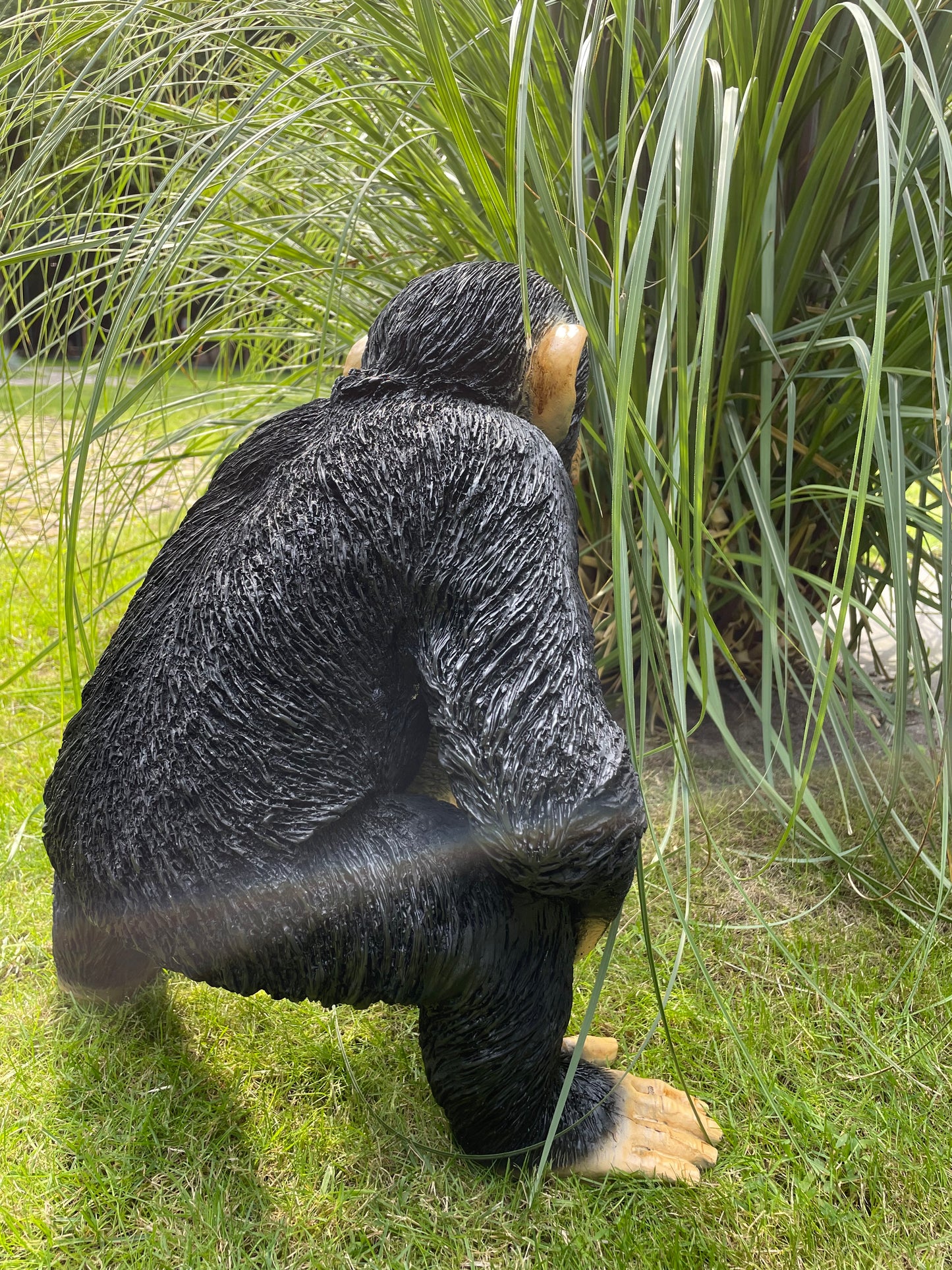 SET chimpansees, apen voelbaar en zichtbaar reliëf.