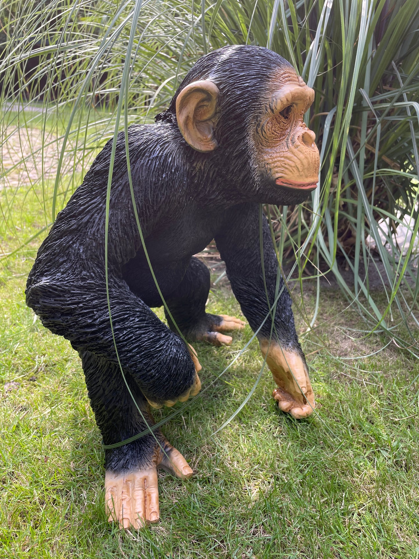 SET chimpansees, apen voelbaar en zichtbaar reliëf.