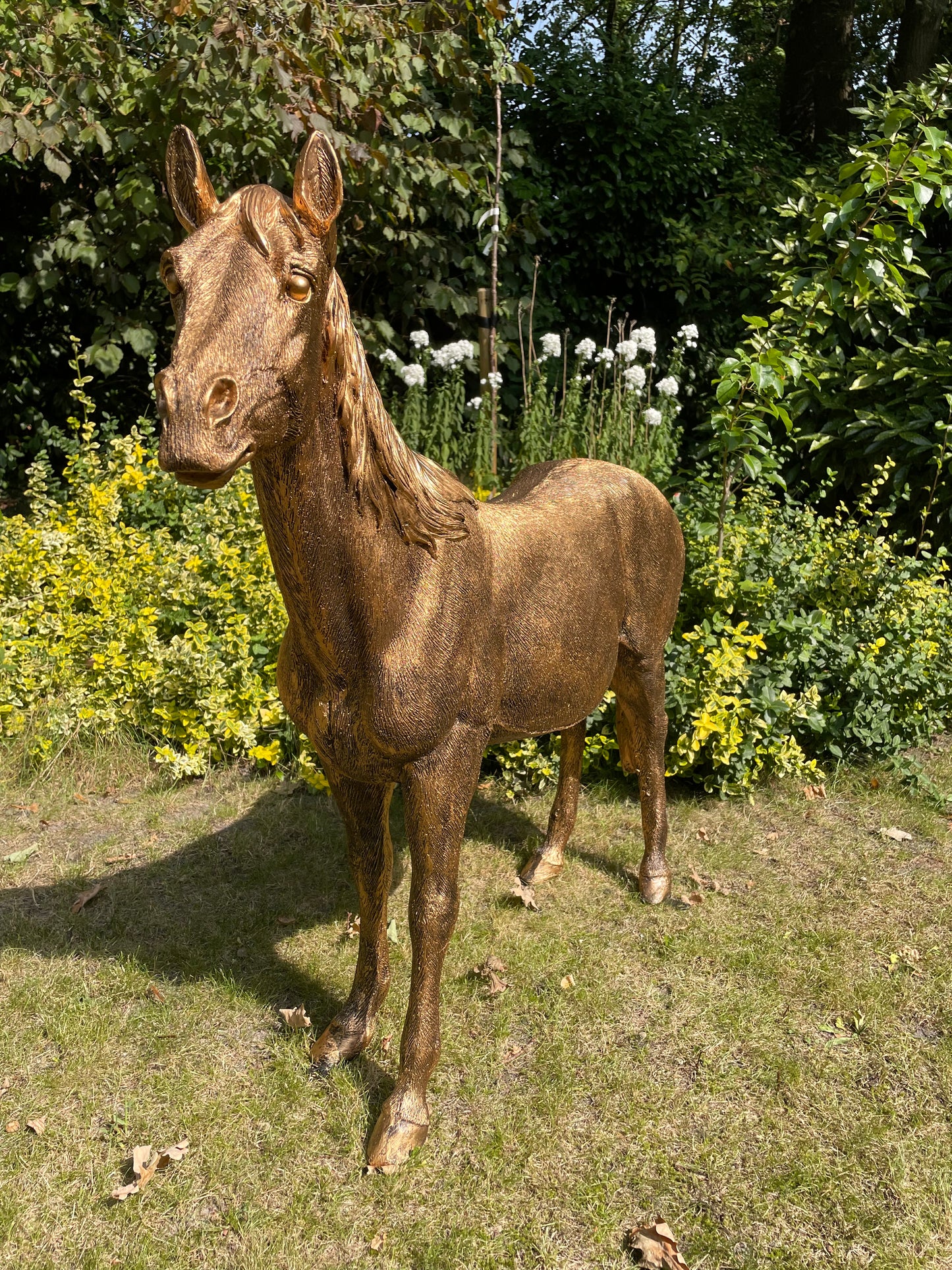 Beeld Paard, goud, tuin, pony, rijles, manege, 140cm