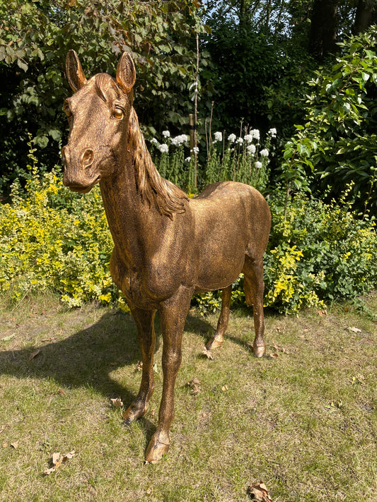 Beeld Paard, goud, tuin, pony, rijles, manege, 140cm