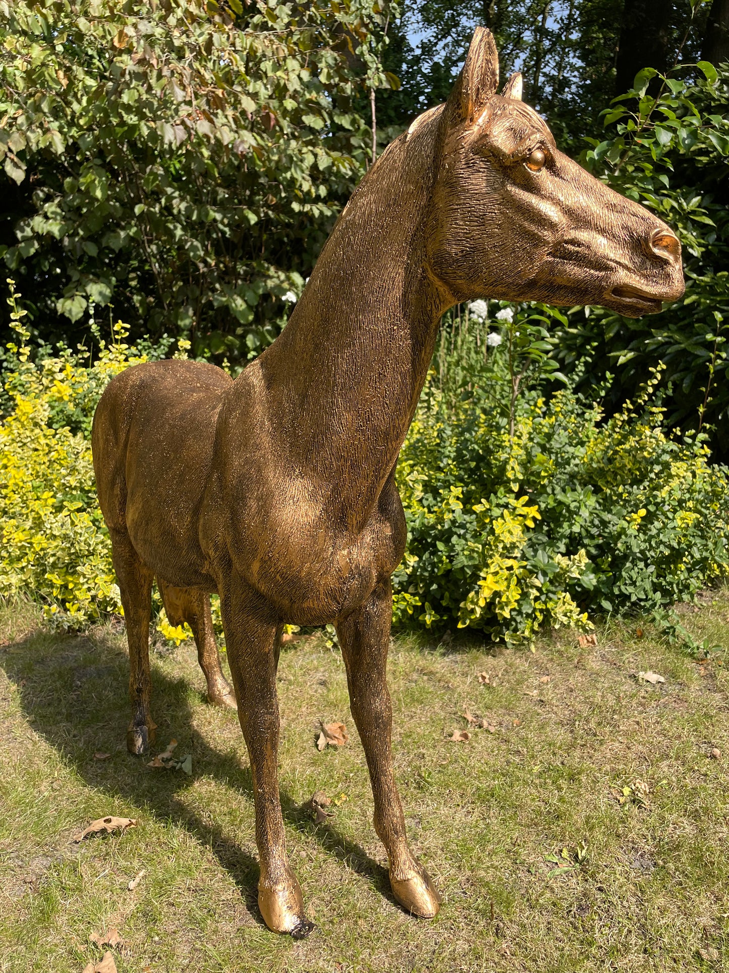Beeld Paard, goud, tuin, pony, rijles, manege, 140cm