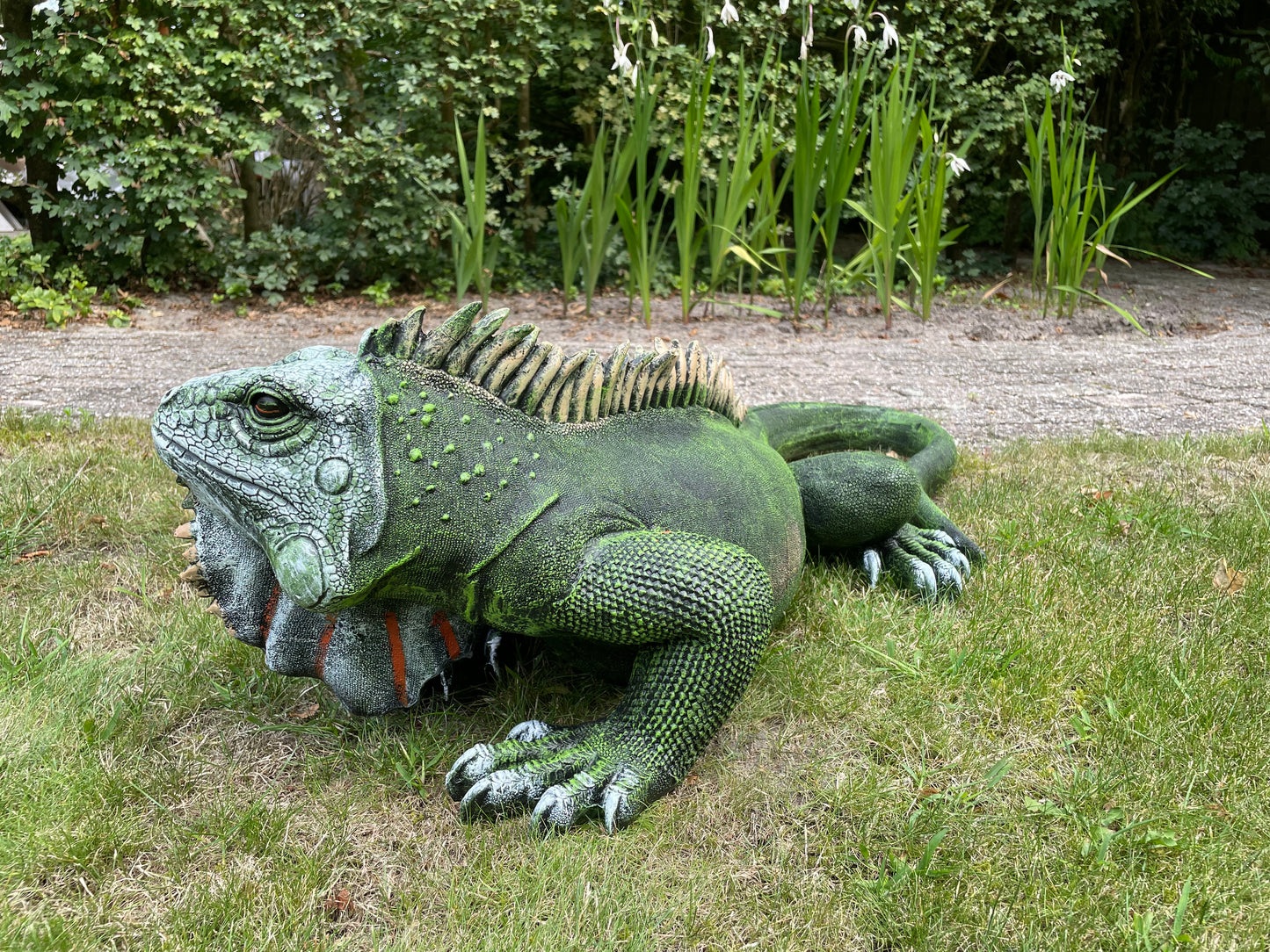 (Tuin)Beeld Leguaan, groen, vijver, salamander 100cm