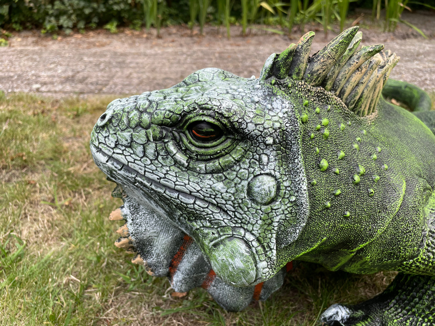 (Tuin)Beeld Leguaan, groen, vijver, salamander 100cm