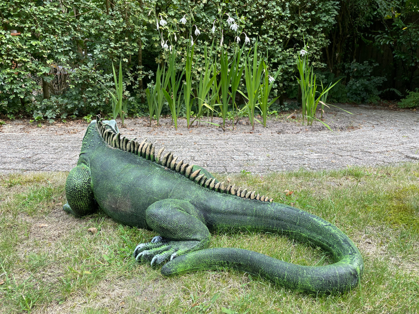 (Tuin)Beeld Leguaan, groen, vijver, salamander 100cm