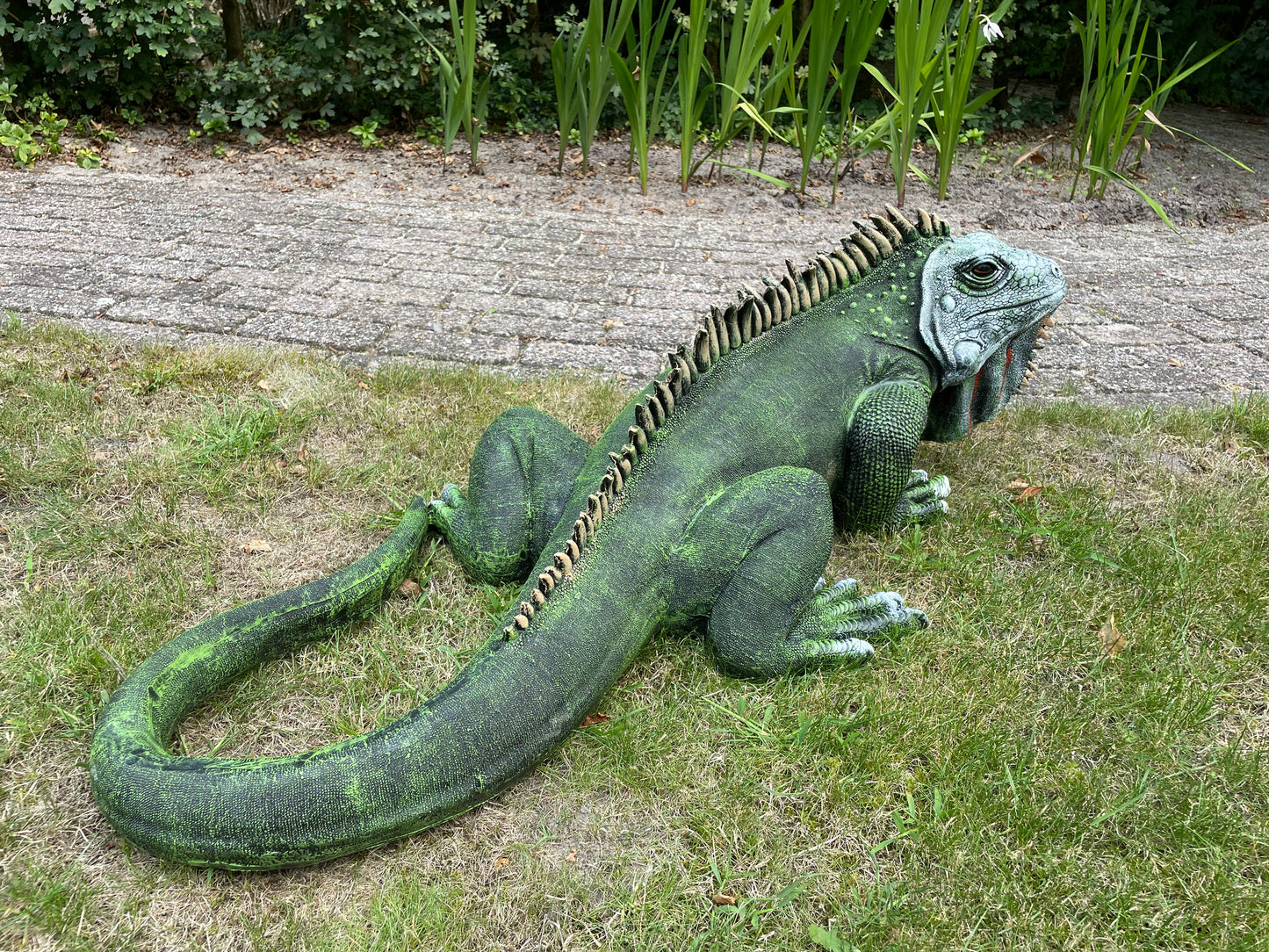 (Tuin)Beeld Leguaan, groen, vijver, salamander 100cm