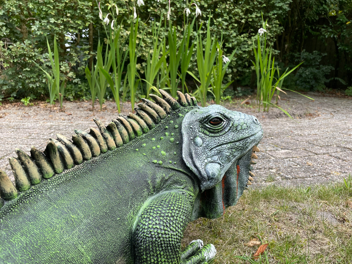 (Tuin)Beeld Leguaan, groen, vijver, salamander 100cm