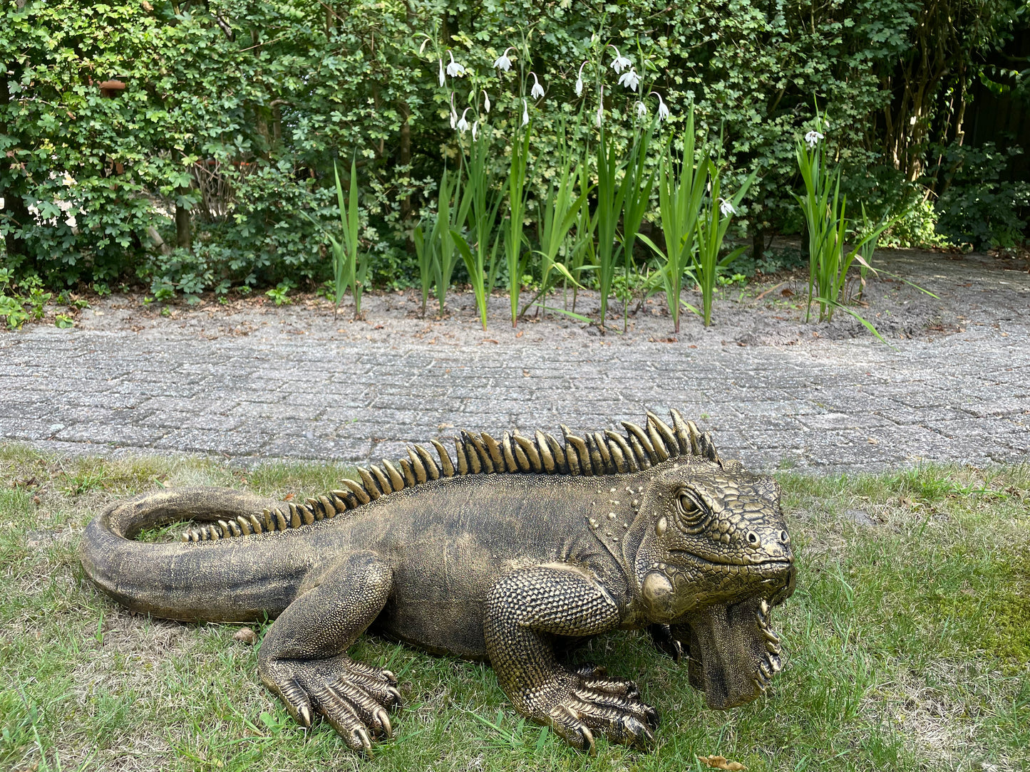 (Tuin)Beeld Leguaan, antiek goud, vijver, salamander 100cm