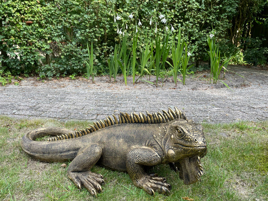 (Tuin)Beeld Leguaan, antiek goud, vijver, salamander 100cm