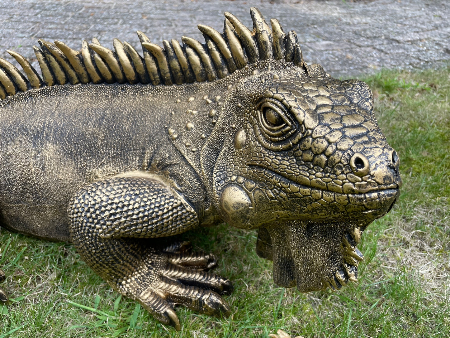 (Tuin)Beeld Leguaan, antiek goud, vijver, salamander 100cm
