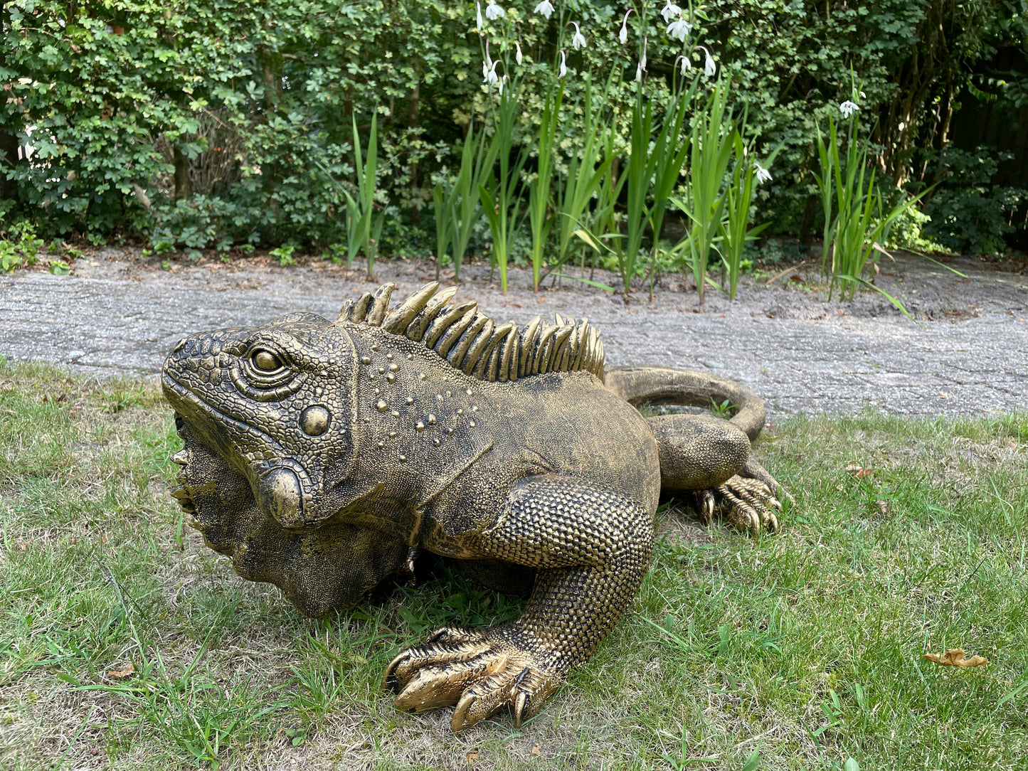 (Tuin)Beeld Leguaan, antiek goud, vijver, salamander 100cm