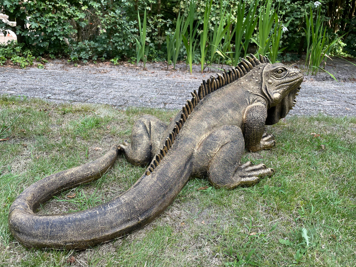 (Tuin)Beeld Leguaan, antiek goud, vijver, salamander 100cm