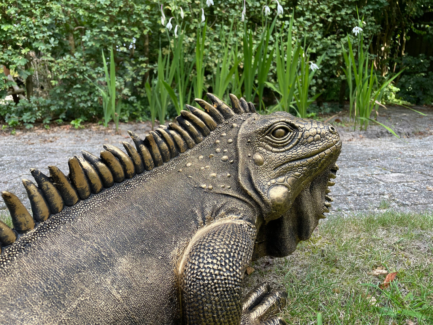 (Tuin)Beeld Leguaan, antiek goud, vijver, salamander 100cm