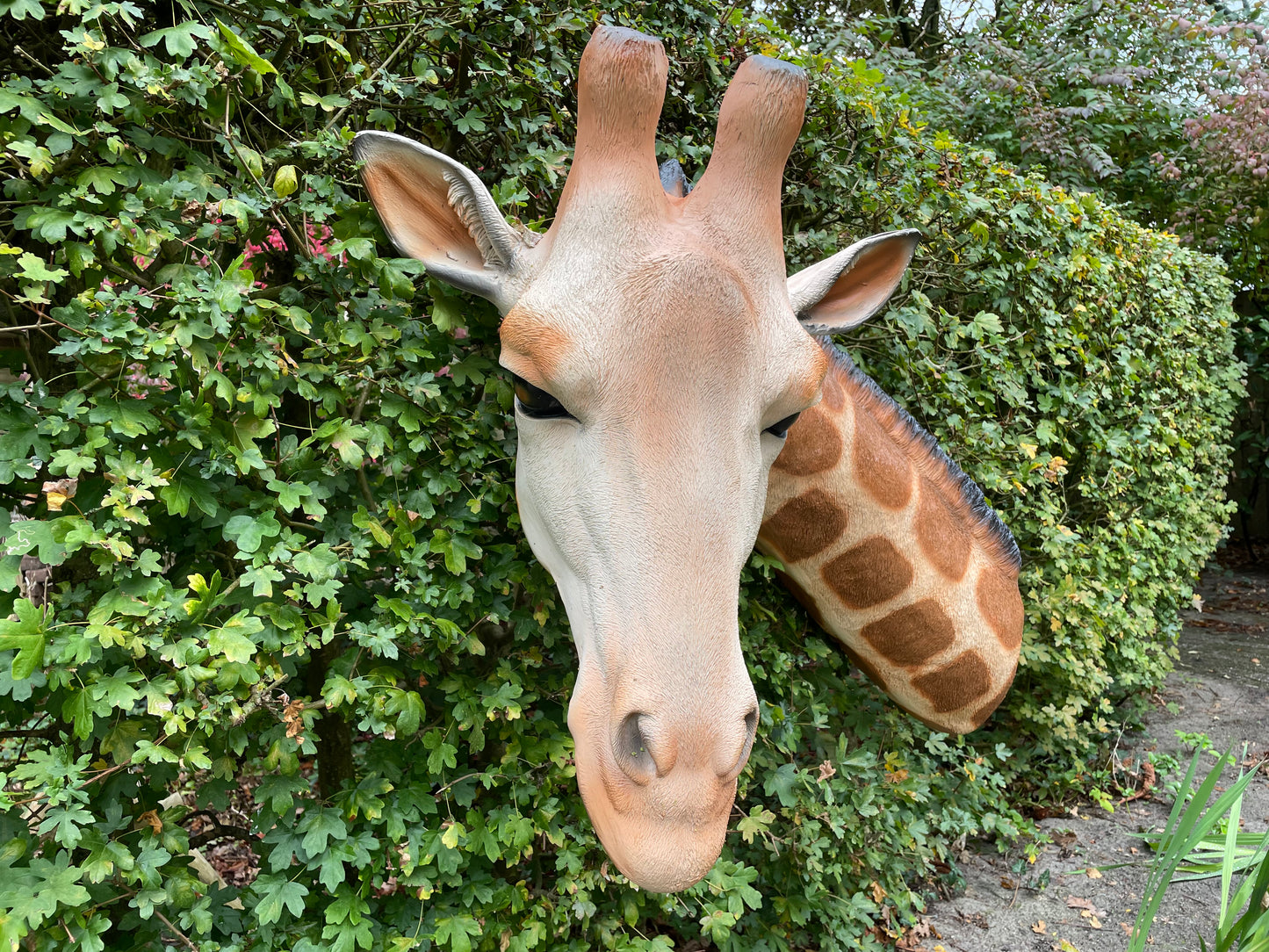 Grote Giraffe als wandbeeld Tuinbeeld – Realistisch Dierenbeeld voor Babykamer of Buiten 120cm
