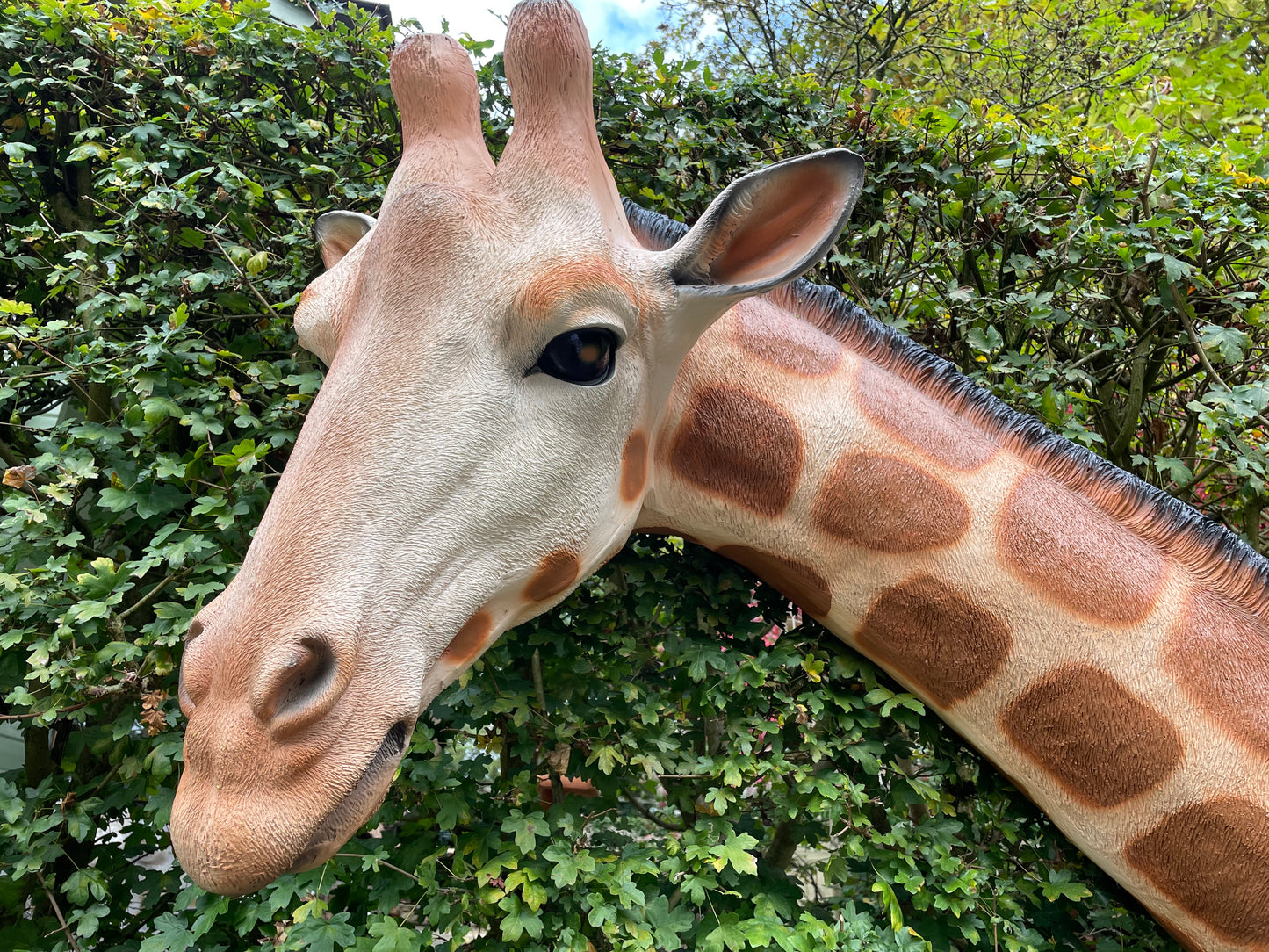 Grote Giraffe als wandbeeld Tuinbeeld – Realistisch Dierenbeeld voor Babykamer of Buiten 120cm